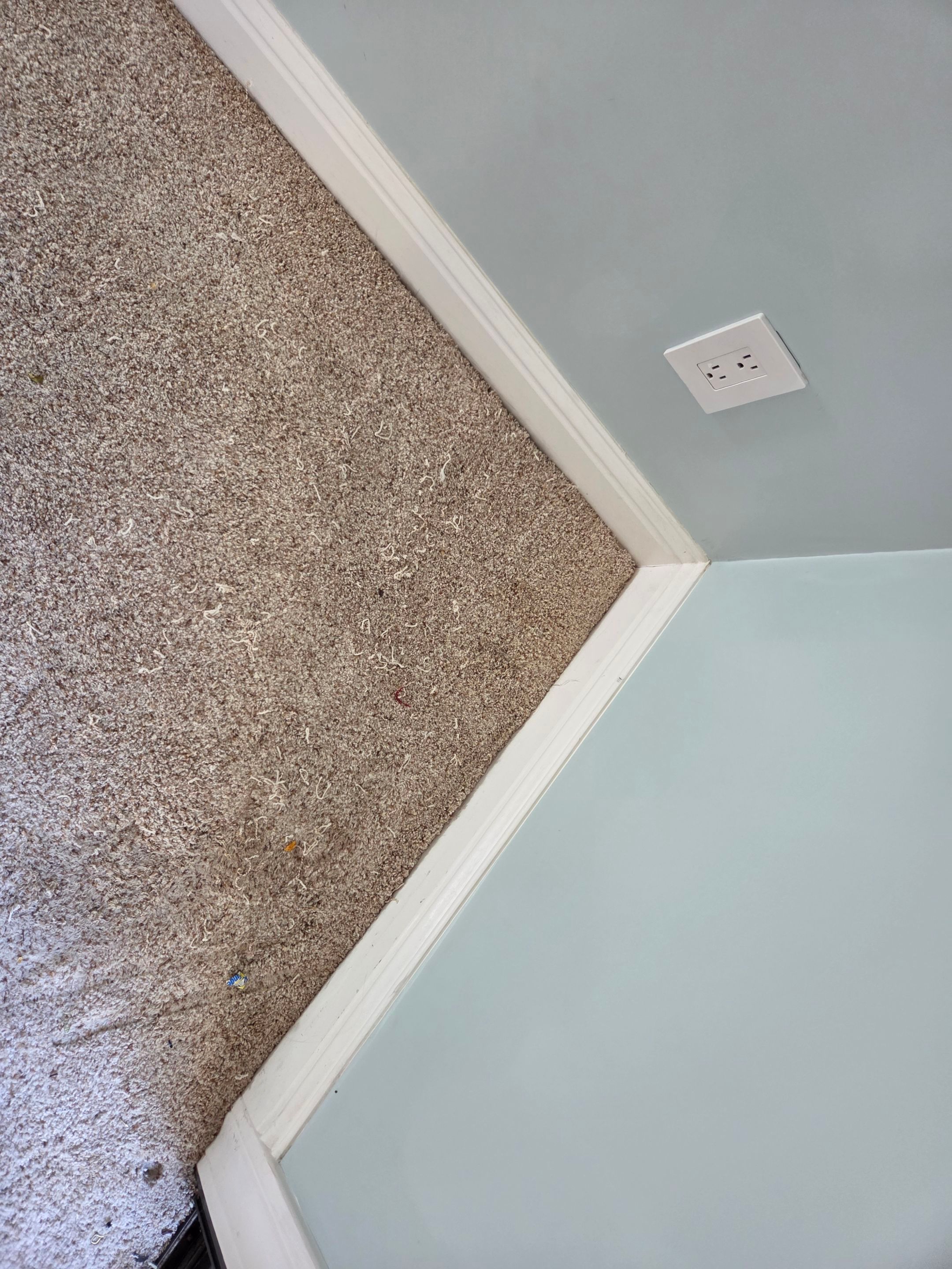 Carpet Repair in Shingle Springs by Ardent Carpet Restore LLC