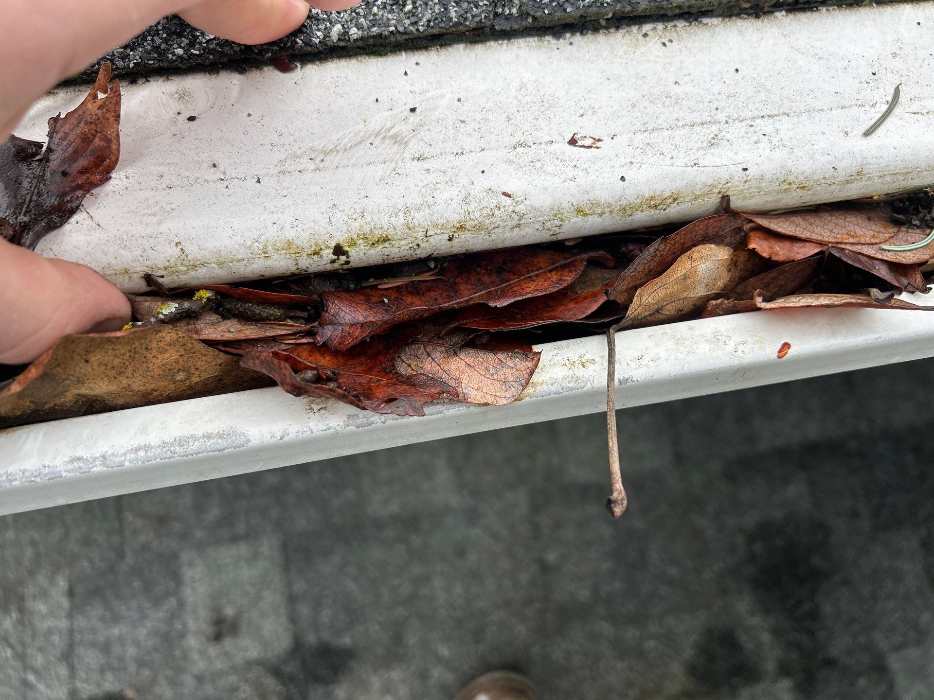 Project in Mount Vernon by Connolly Construction Company