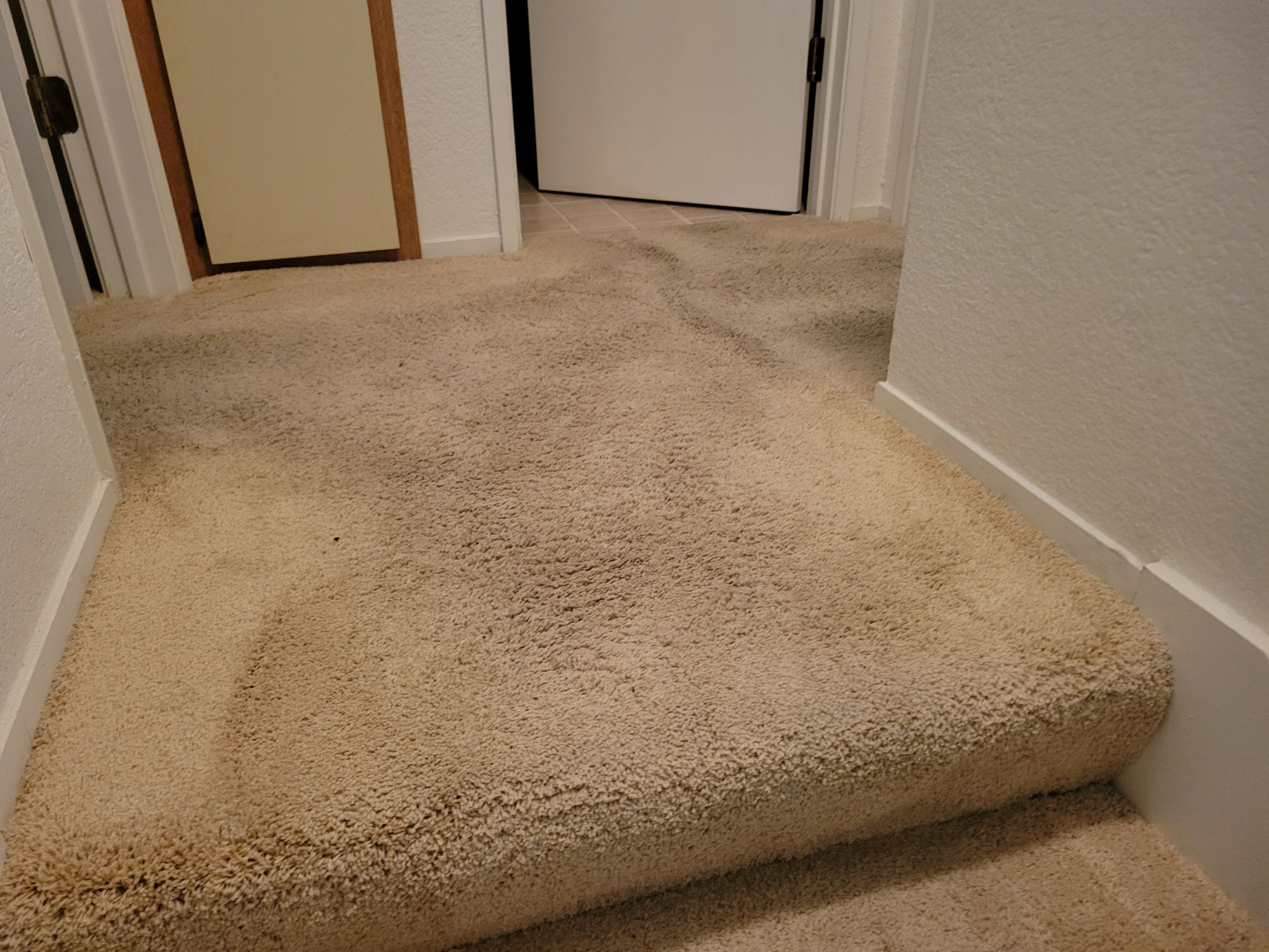 Carpet Re-stretching and Cleaning by Ardent Carpet Restore LLC