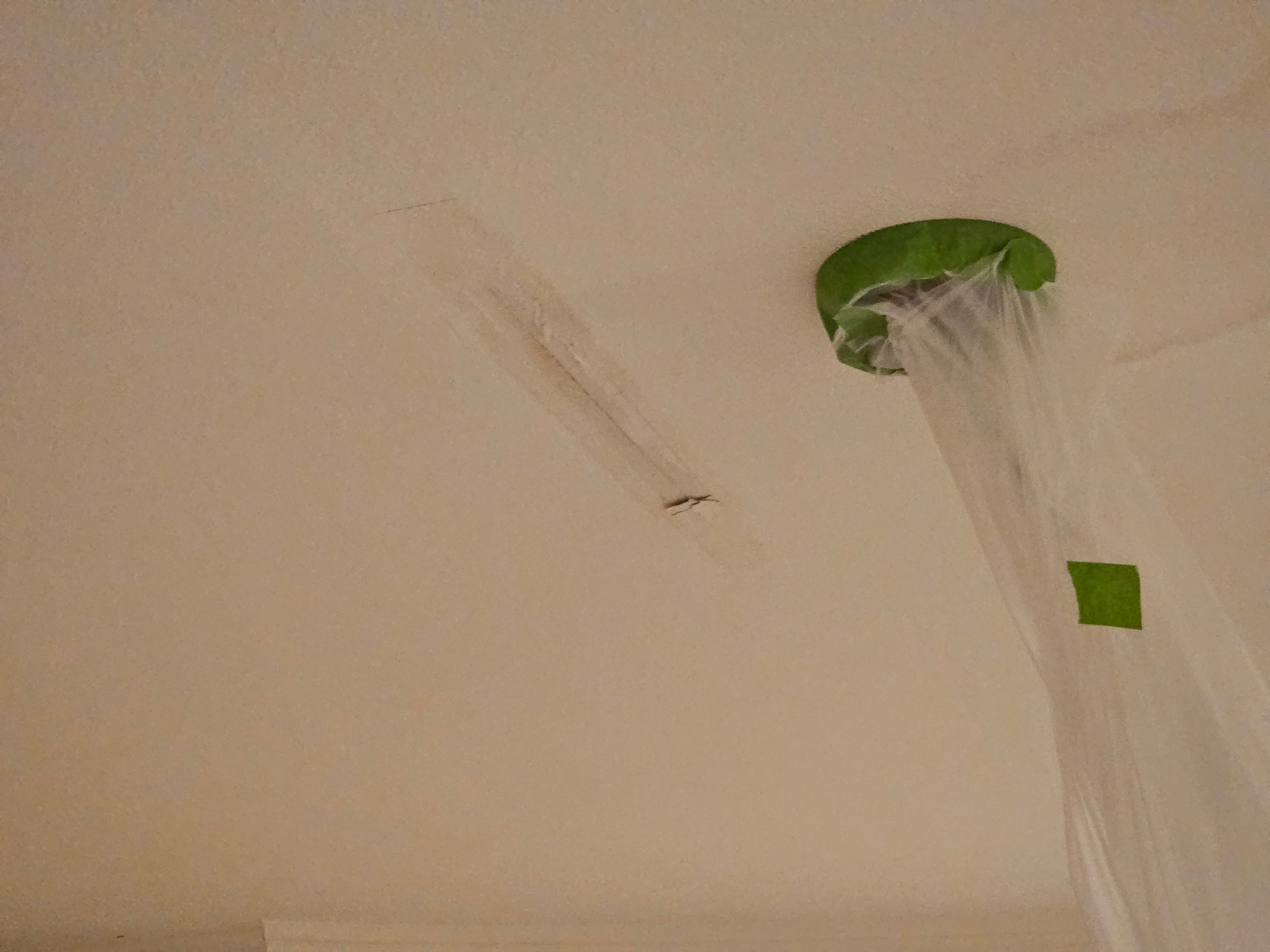 Exterior & interior paint, Garage door repairs, roof replacement & leak repairs by EL-GC LLC 