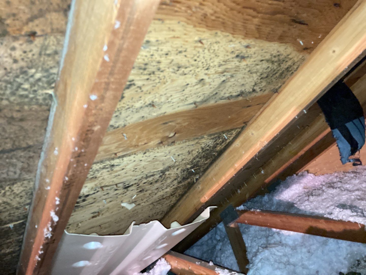 Mold Remediation in Attic by Accountable Home Services