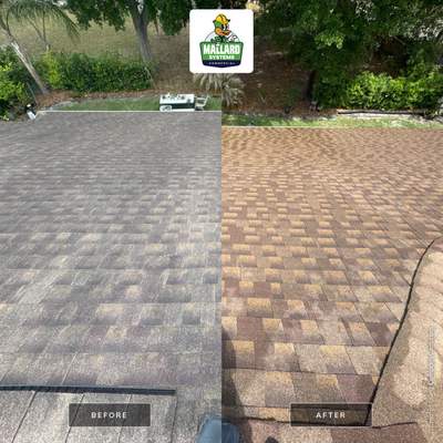 Shingle Roof Cleaning
