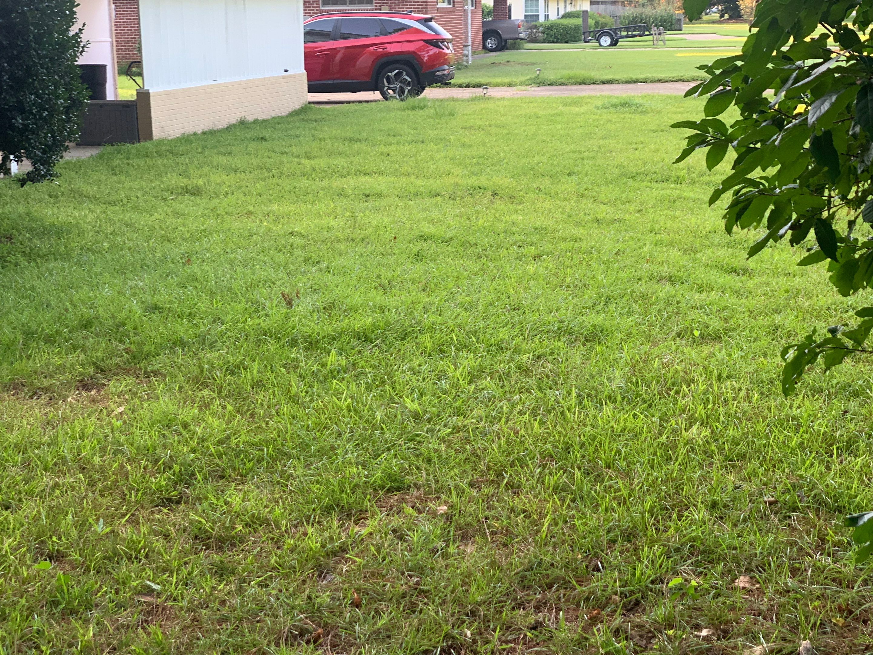 Yard Makeover by College Bros Outdoor services