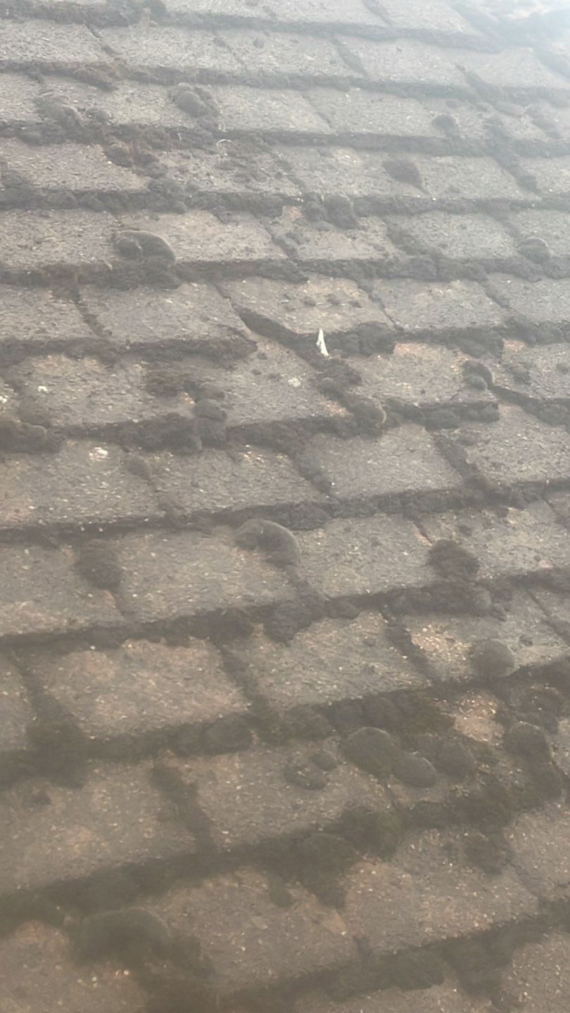 Roof Clean  - Moss Removal - Gutter Clean by Ges Exterior Cleaning ltd
