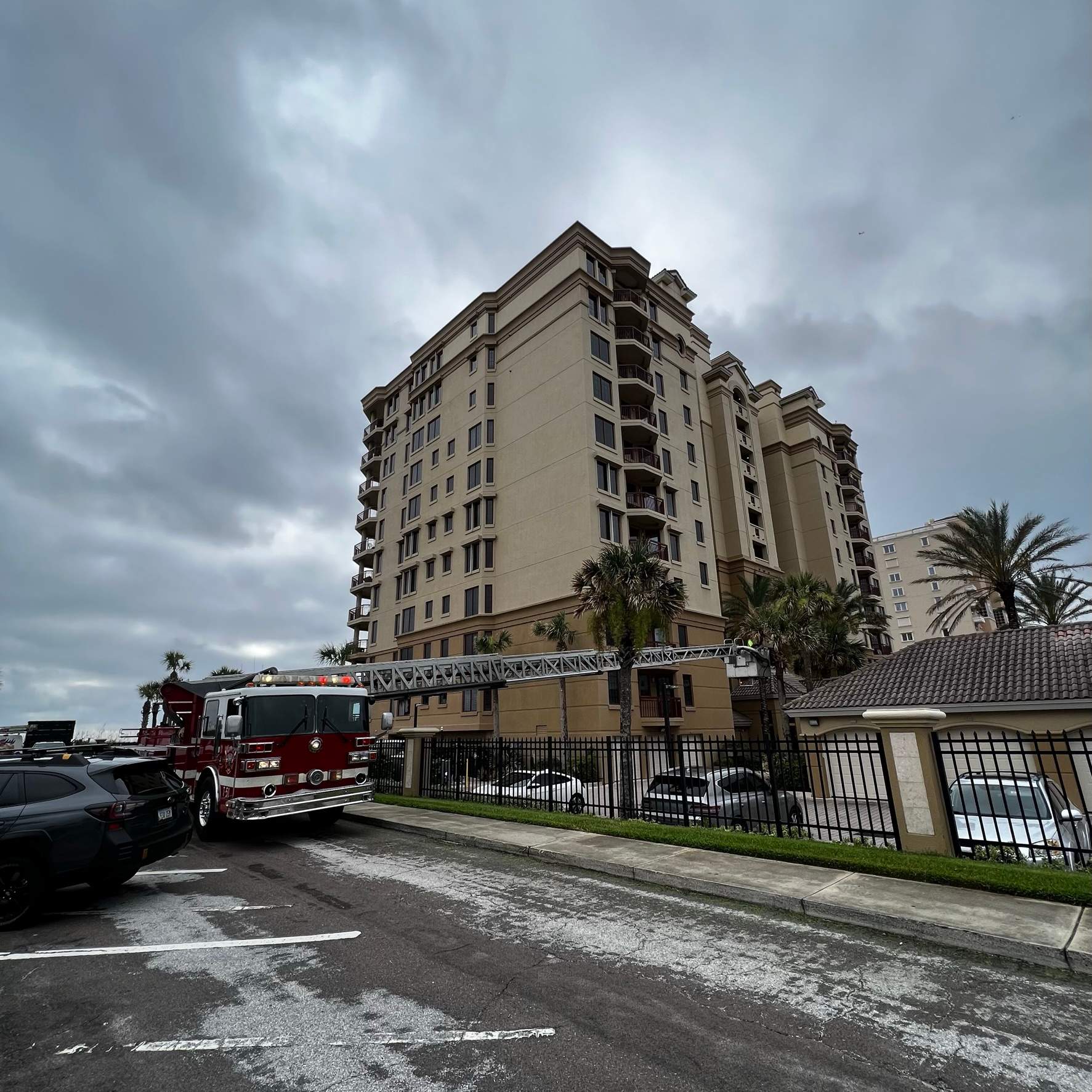 Palm Trimming | Landmark Condominiums by ProGreen Services