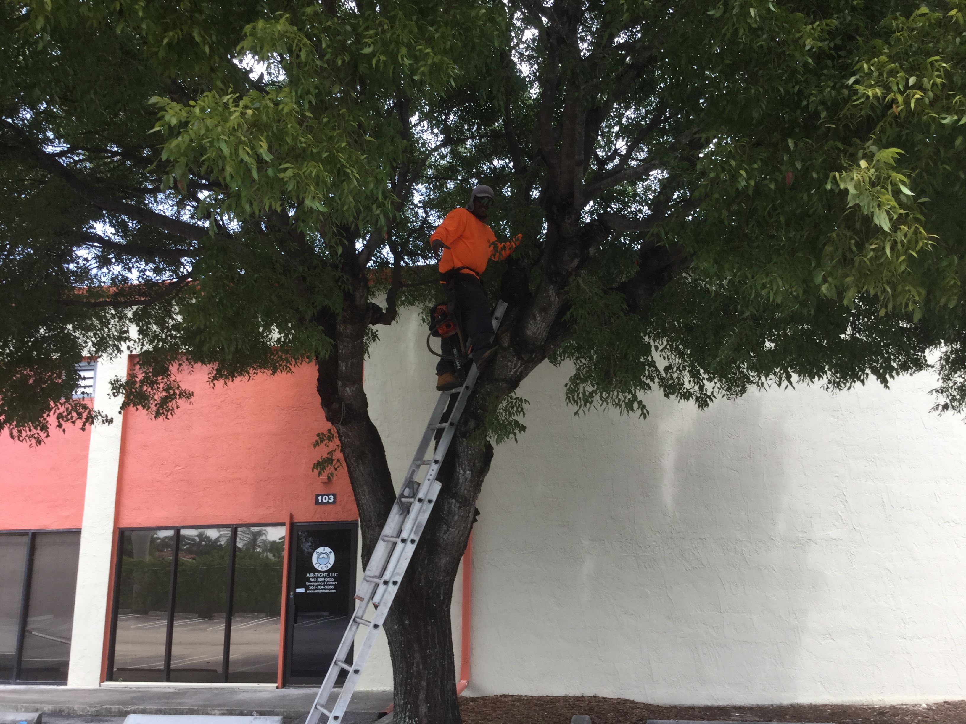 Commercial Tree Trimming & Debris Removal by
M.A.B. Landscaping & Property Maintenance