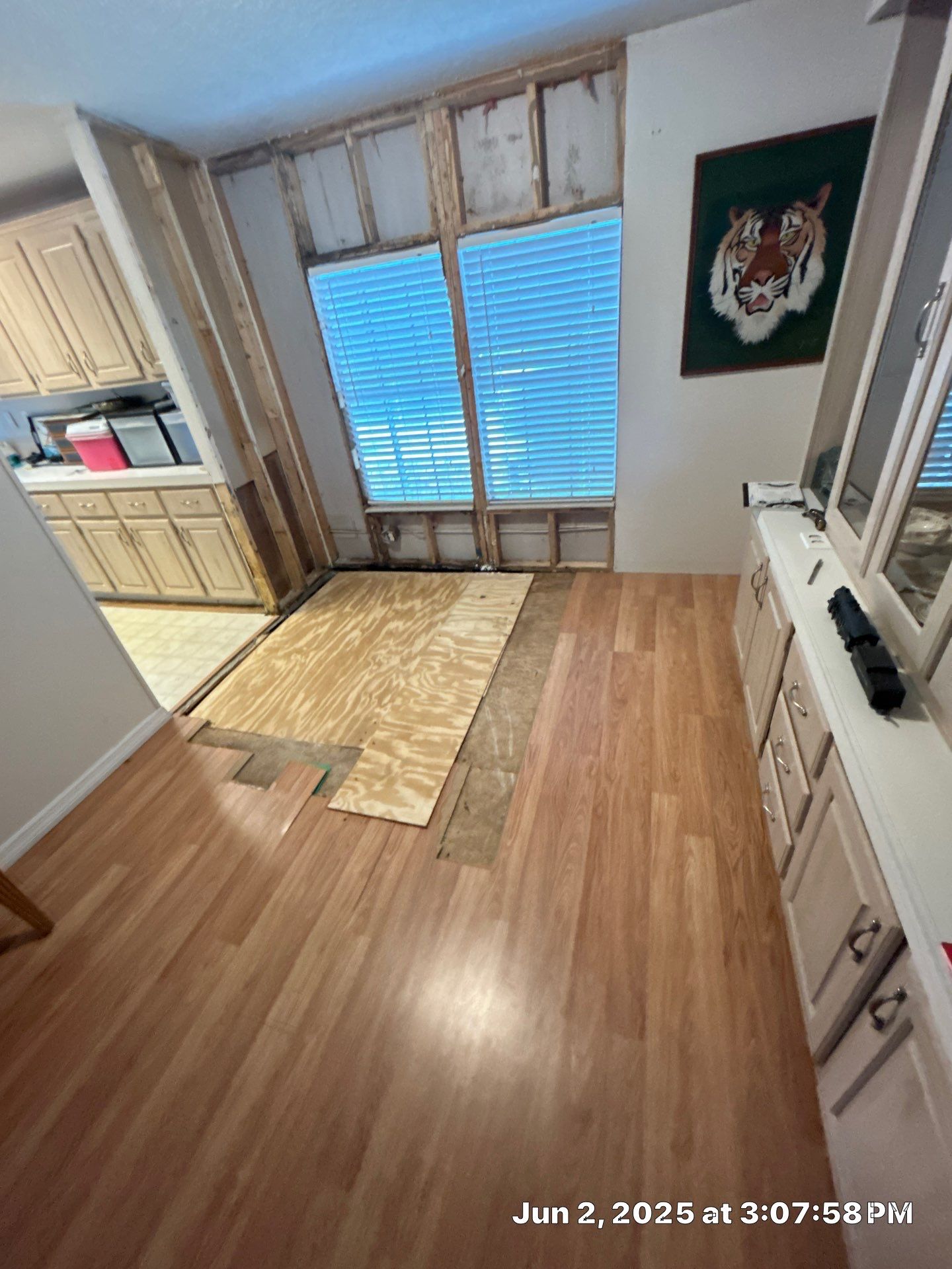 Mold Remediation Palmetto by Ampm Restoration Services 