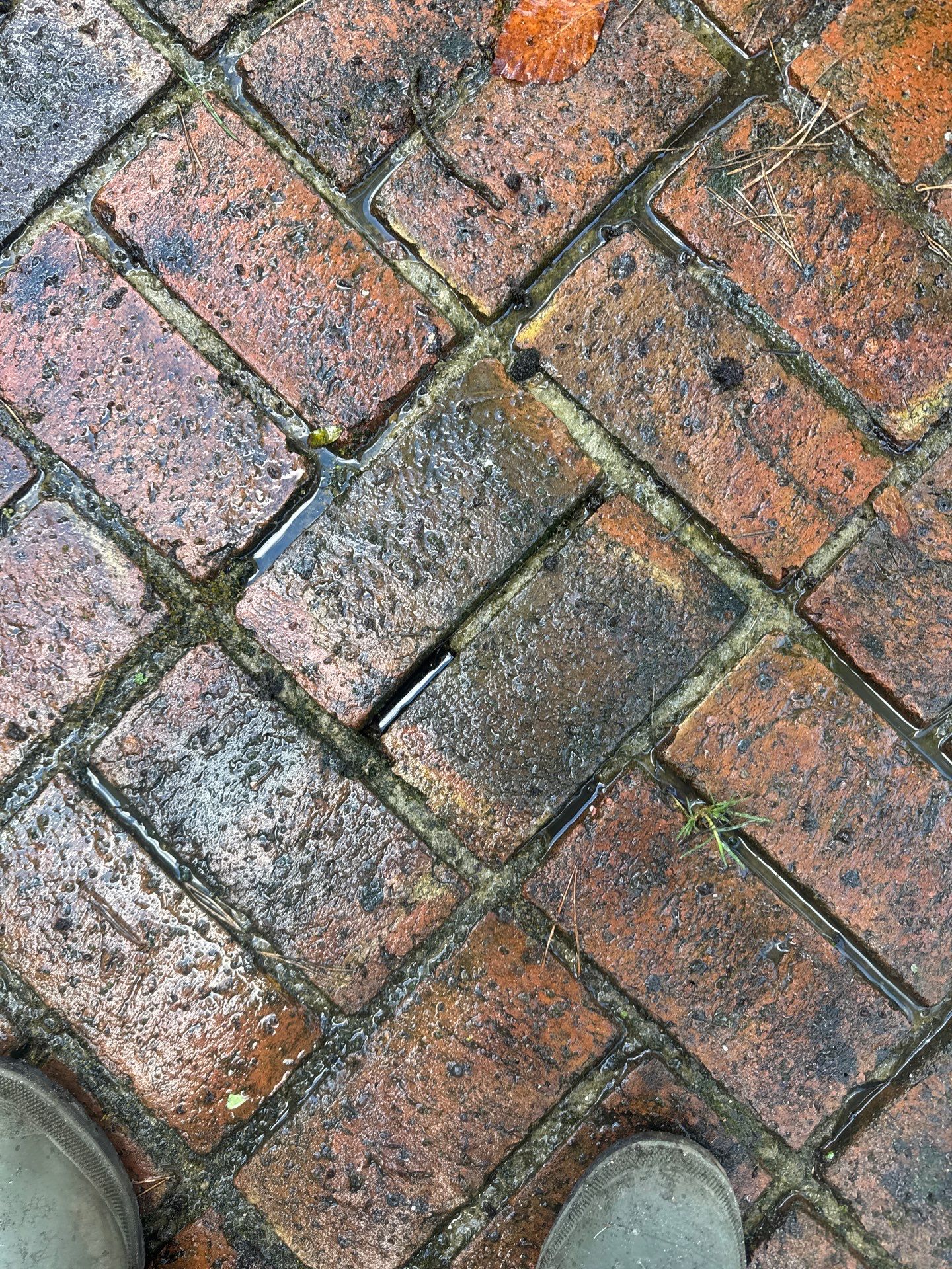 Roof - Driveway - Patio Clean using 18inch Whirlaway FSC by Ges Exterior Cleaning ltd