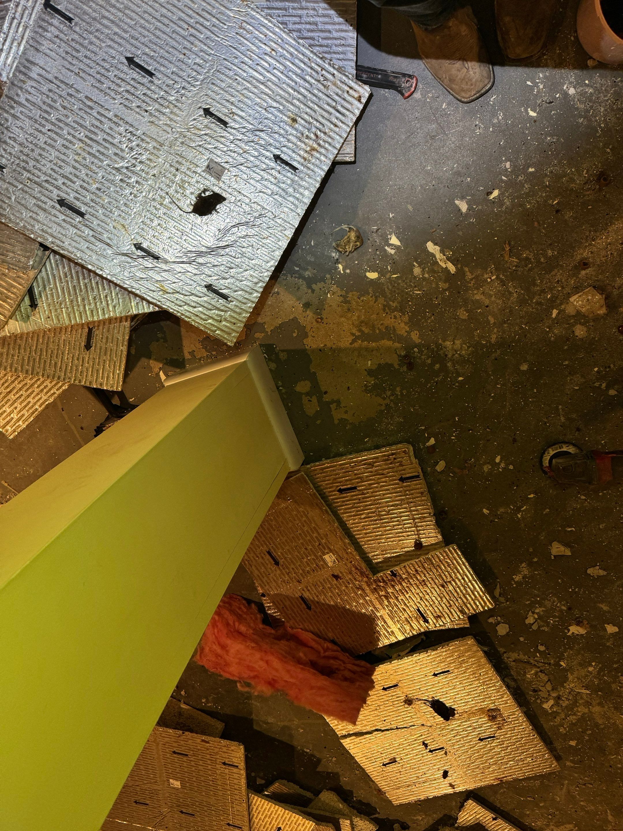 Mold Remediation using Home Guarantee by Home Guarantee, LLC