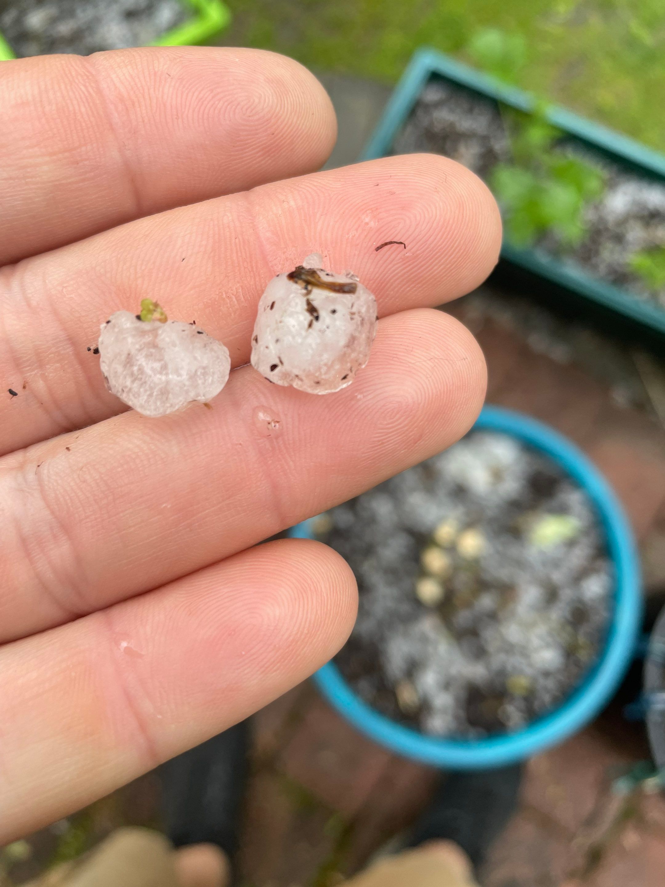 Residential Roofing Repairs by Noble Roof and Remodel LLC