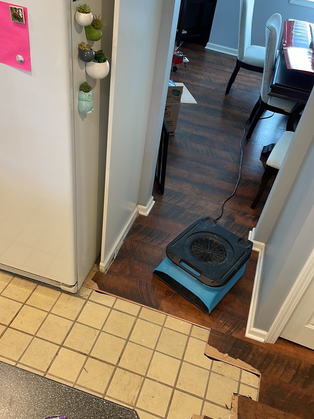 Project in Southfield by EzDry Water Mitigation & Property Restoration