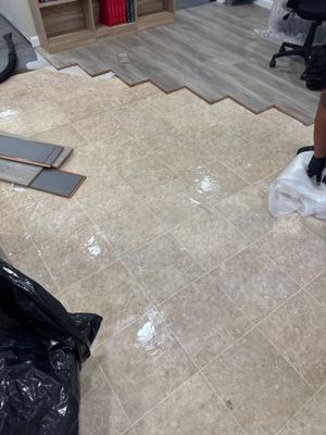 Basement Moisture Remediation in Mineola