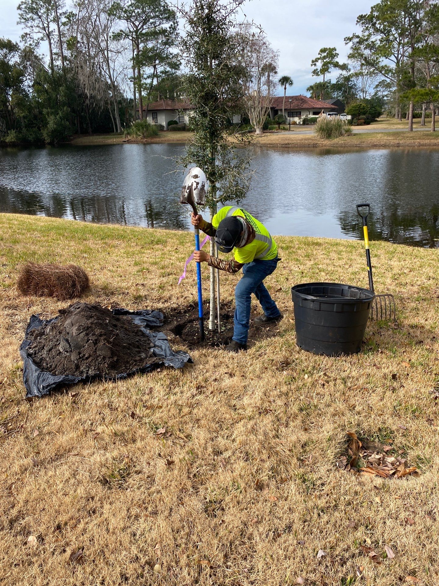 Deerwood Resident | Tree Install by ProGreen Services