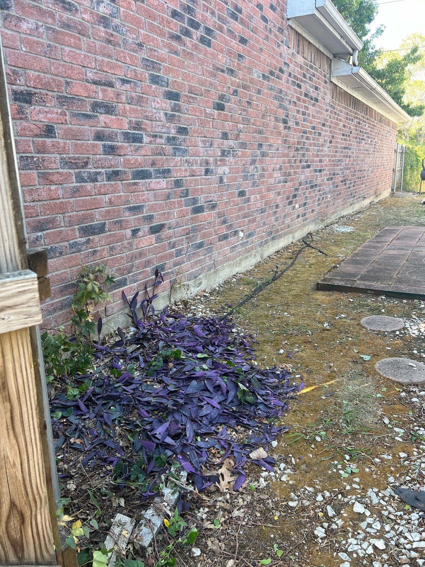 Project in Rowlett by Rhino Roofing and General Contracting, LLC