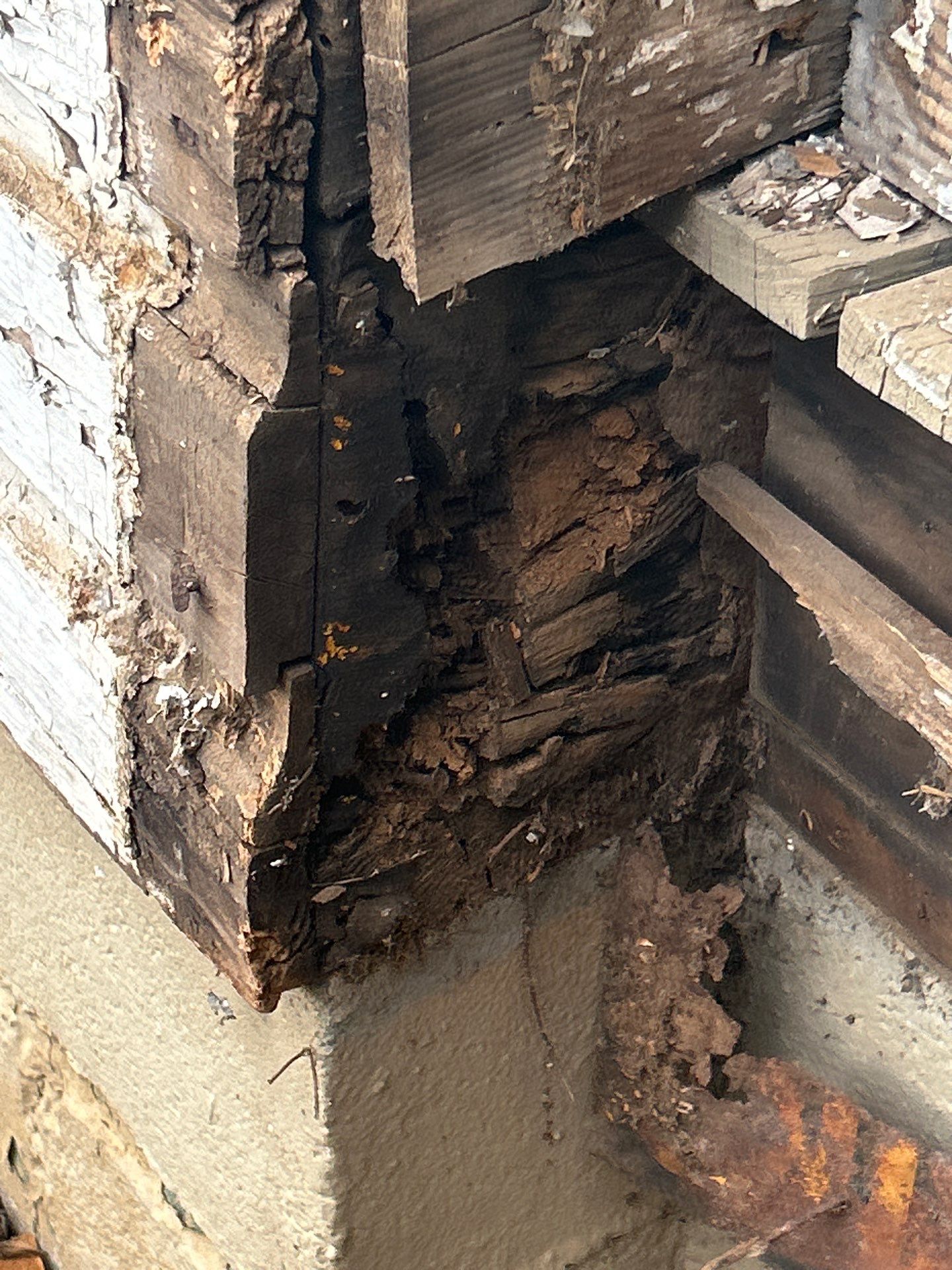 James Hardie Plank Replacement - Five Points by Freedom Exteriors 