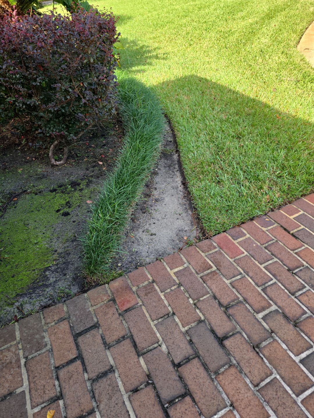 Deerwood Resident | Freshen Up Project by ProGreen Services