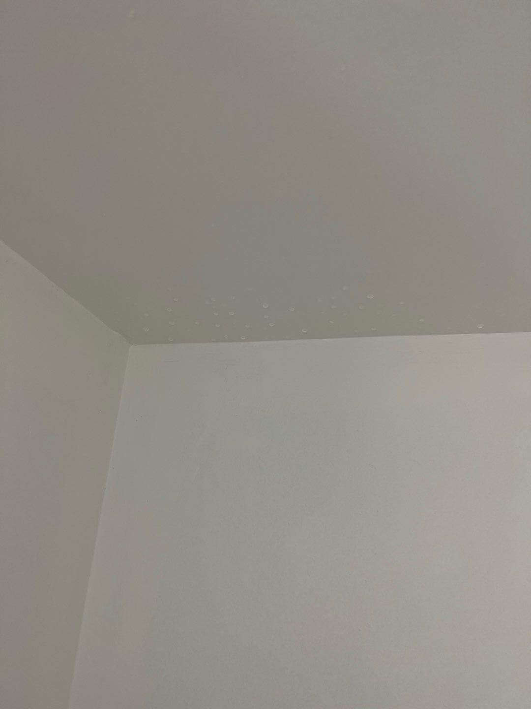 Project in Novi by EzDry Water Mitigation & Property Restoration