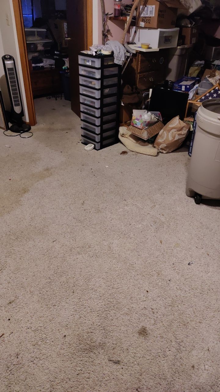 Water Damage  by Accountable Home Services