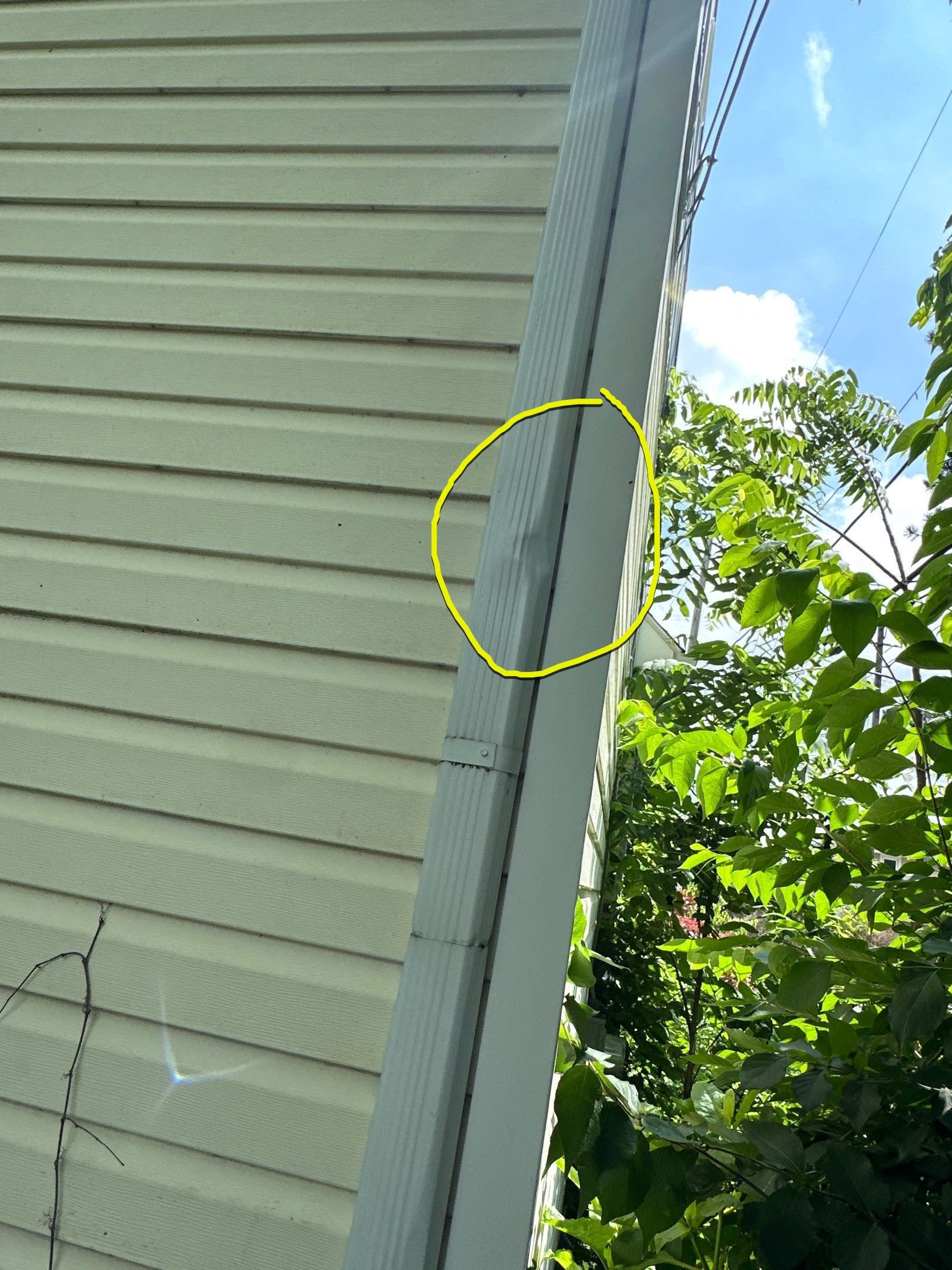 Jonathon Salmons Hail & Tree Damage Report by Constructive Project Management