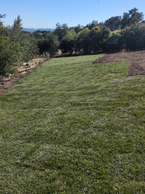Project in Napa