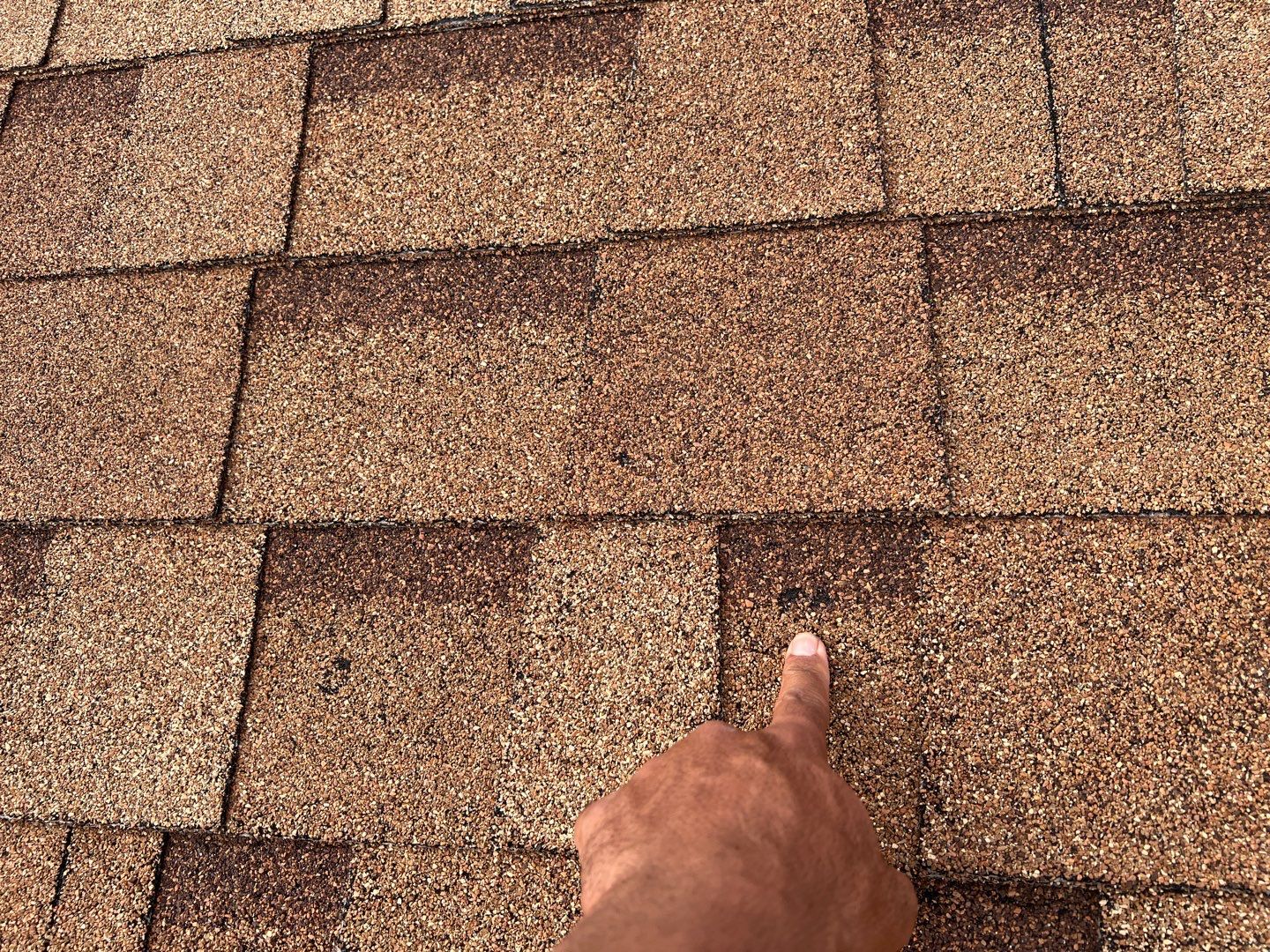 Jenna's Re-Roof and Ridge Vents by All Storm Roofing & Construction