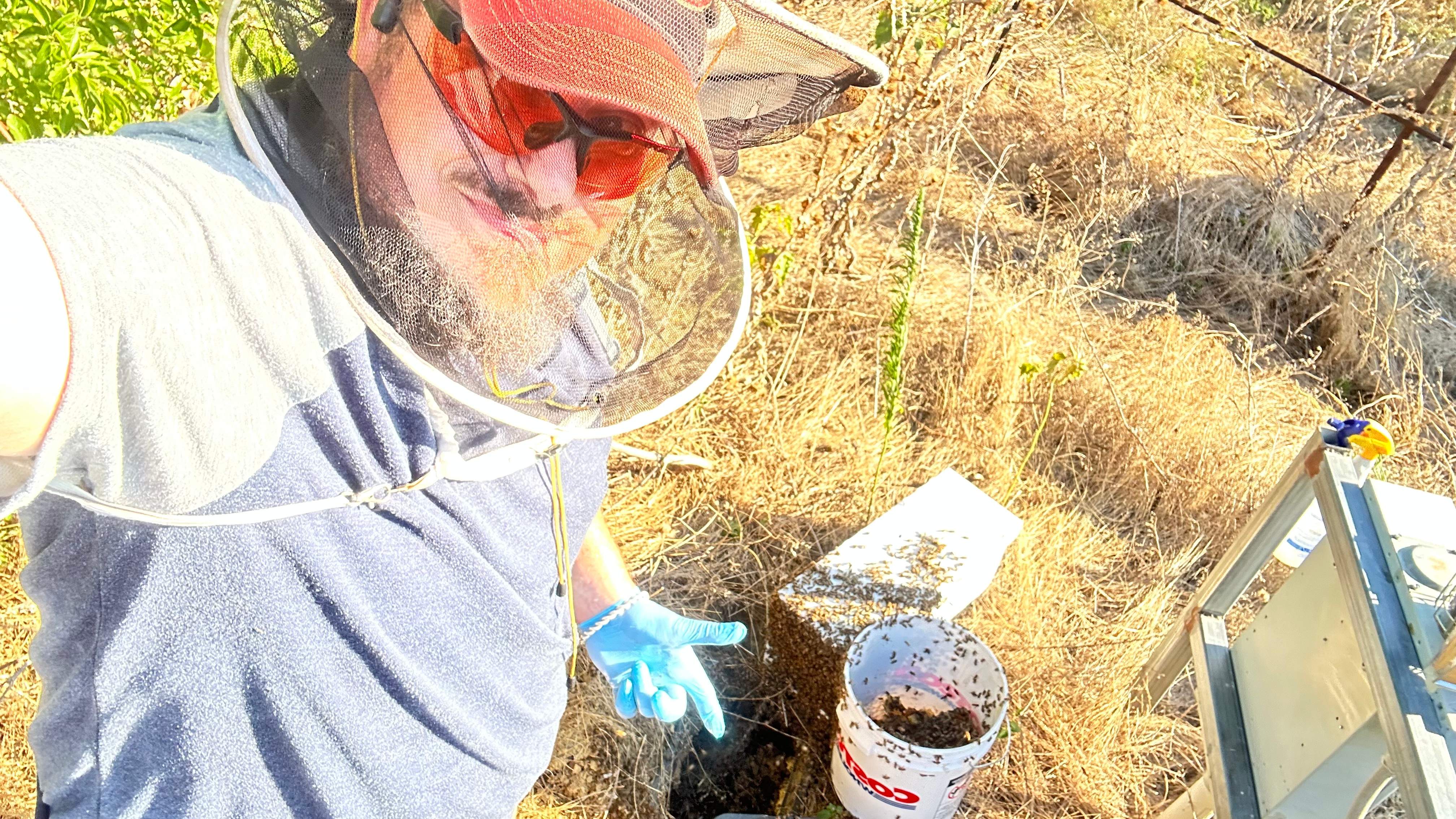 Well Meter by Rockwall Honey Bee Company