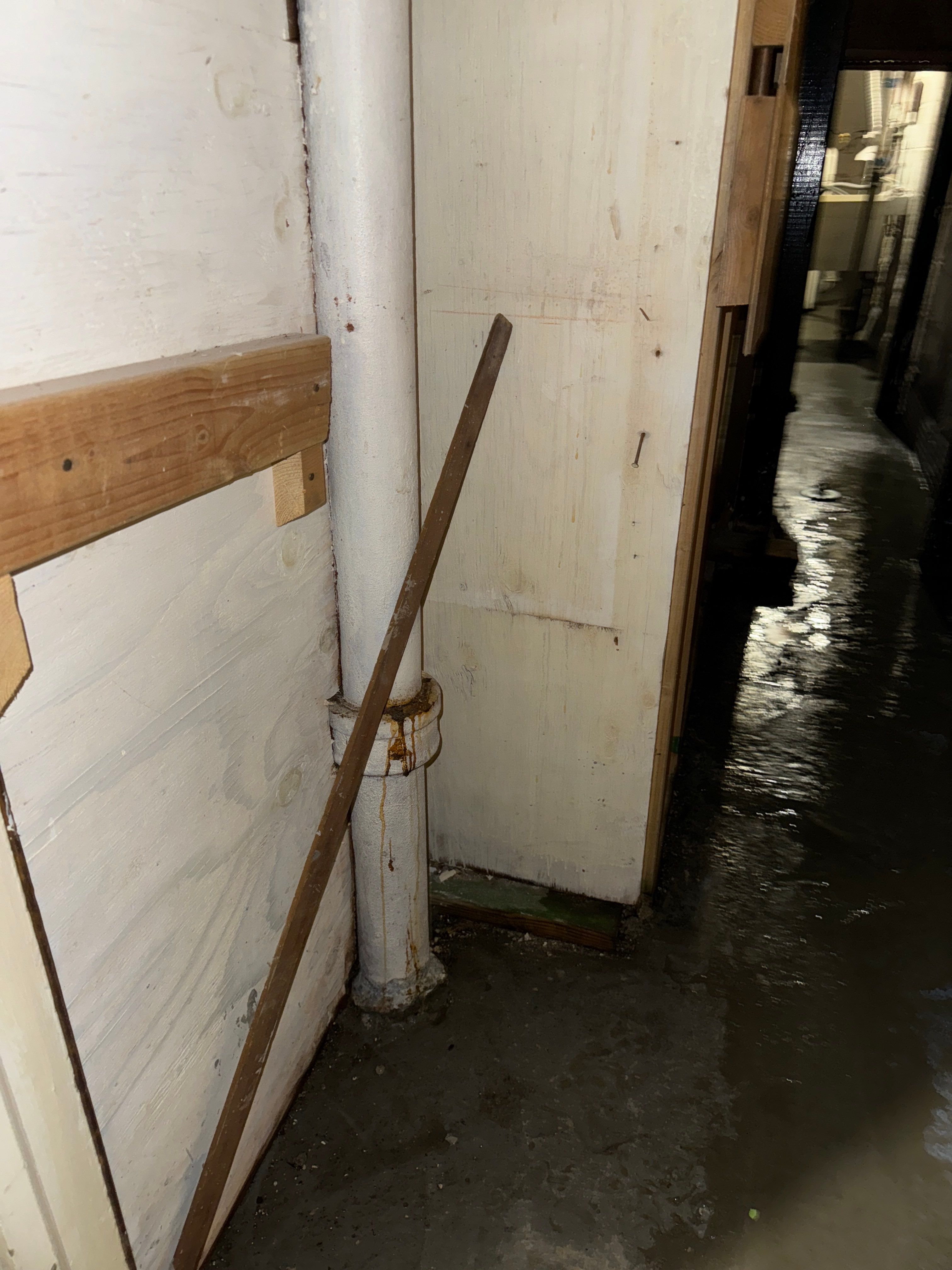 Interior French Drain & Mold Remediation Little Falls NJ by Pure Service Pro, LLC 