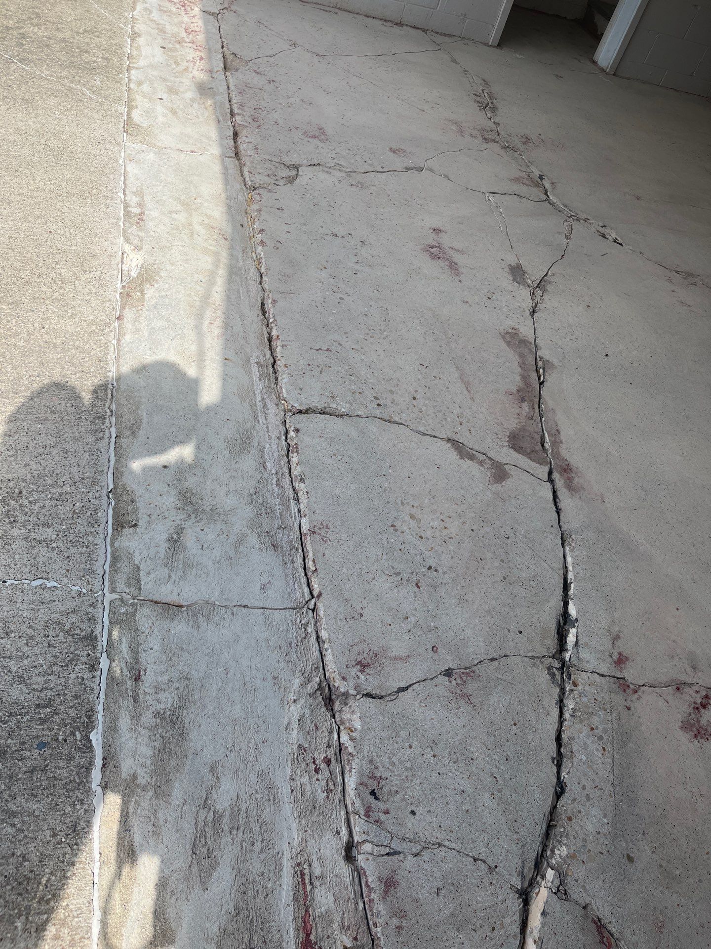 Orbit Project in Wexford by Floors in a Day, Inc