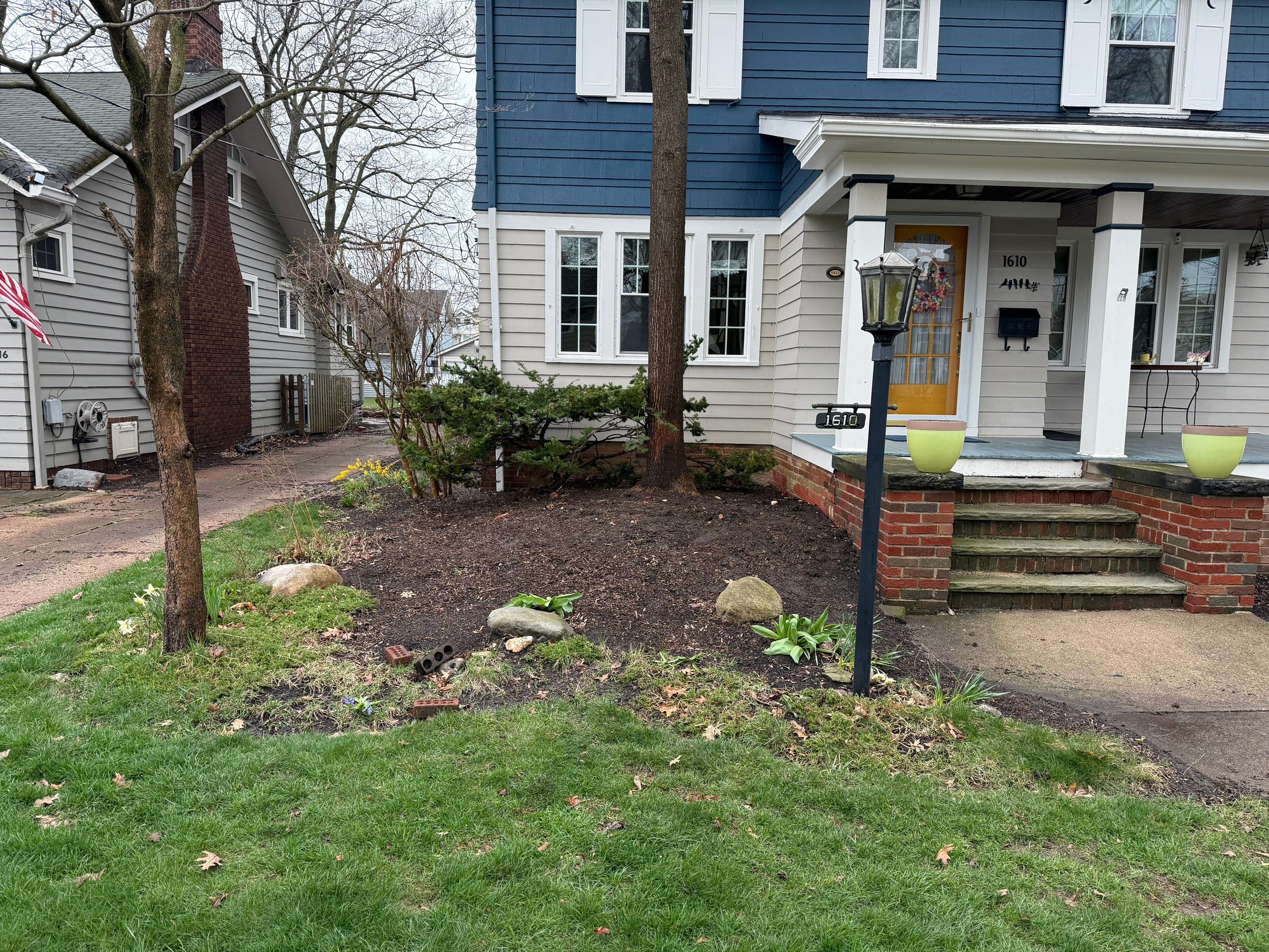 Woodland Flora Project by Elm Rose Gardens