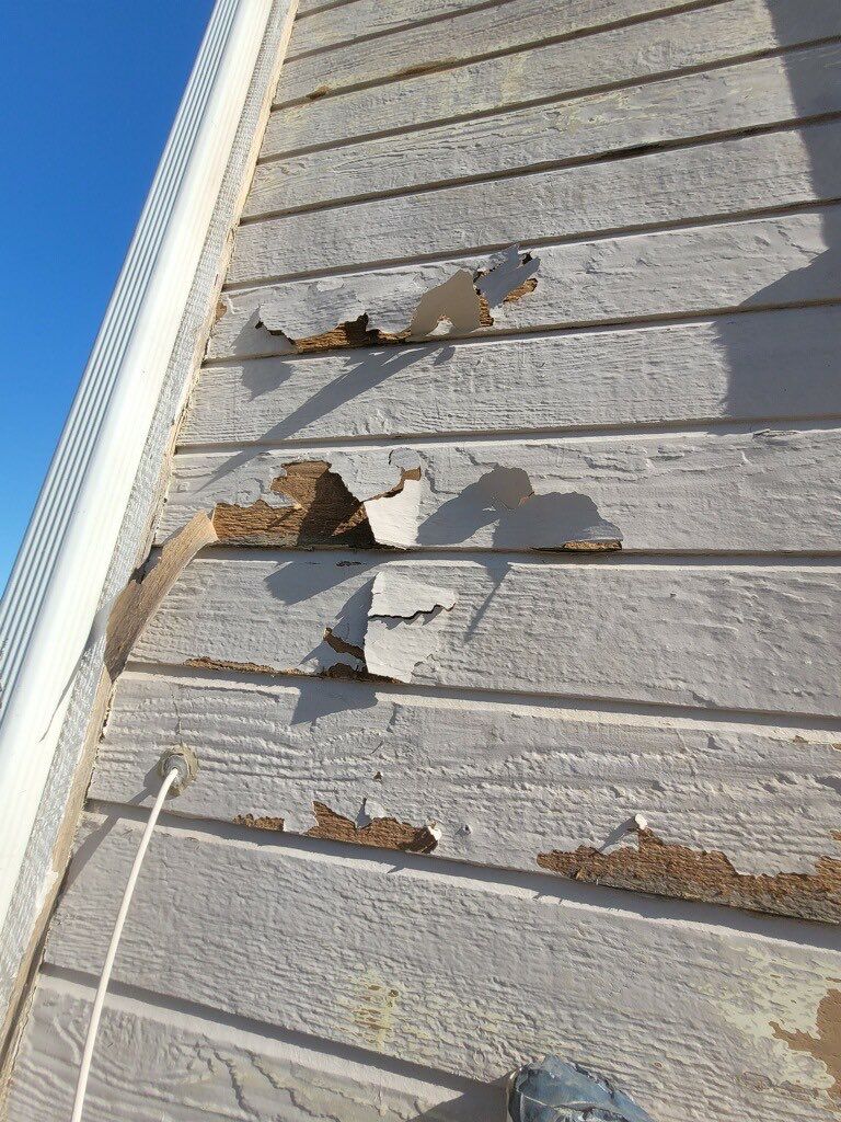Fernando's Exterior by Asis Painting Inc