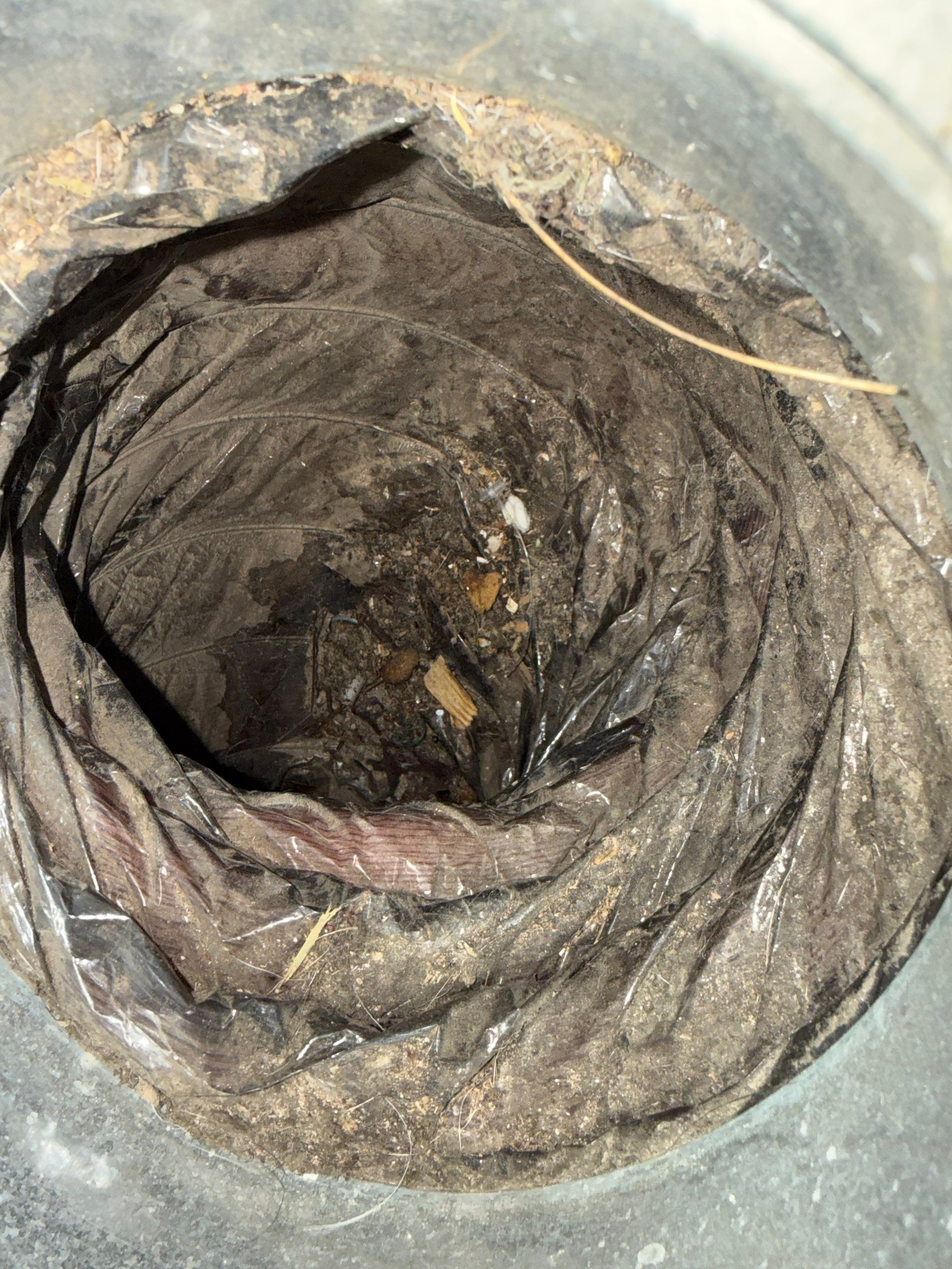 Duct Cleaning and Sanitizing in Mount Jackson by Elemental Heating and air conditioning LLC