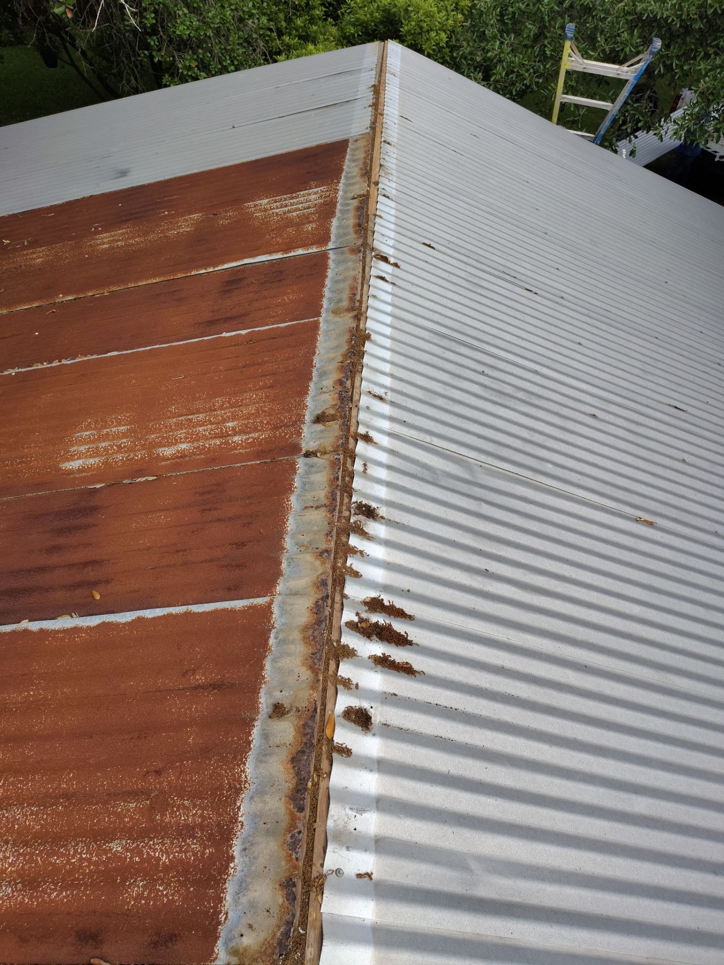 Big Country in Aransas Pass by Bayfront Roofing and Construction