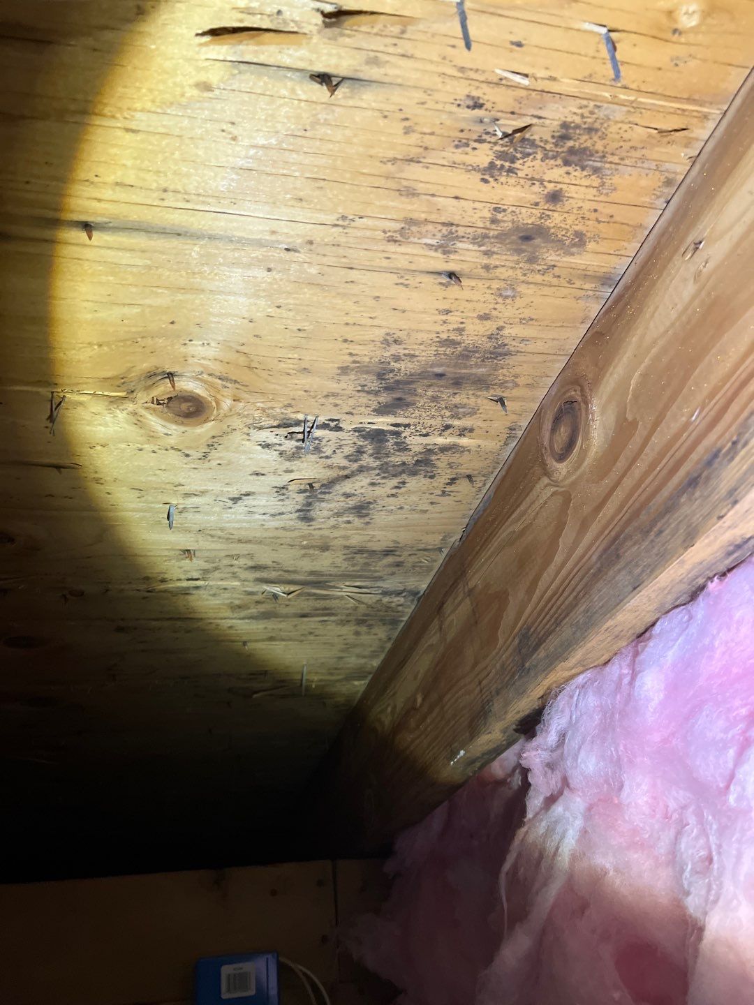 Residential Roofing Repair by Storm Guard of South Metro Denver