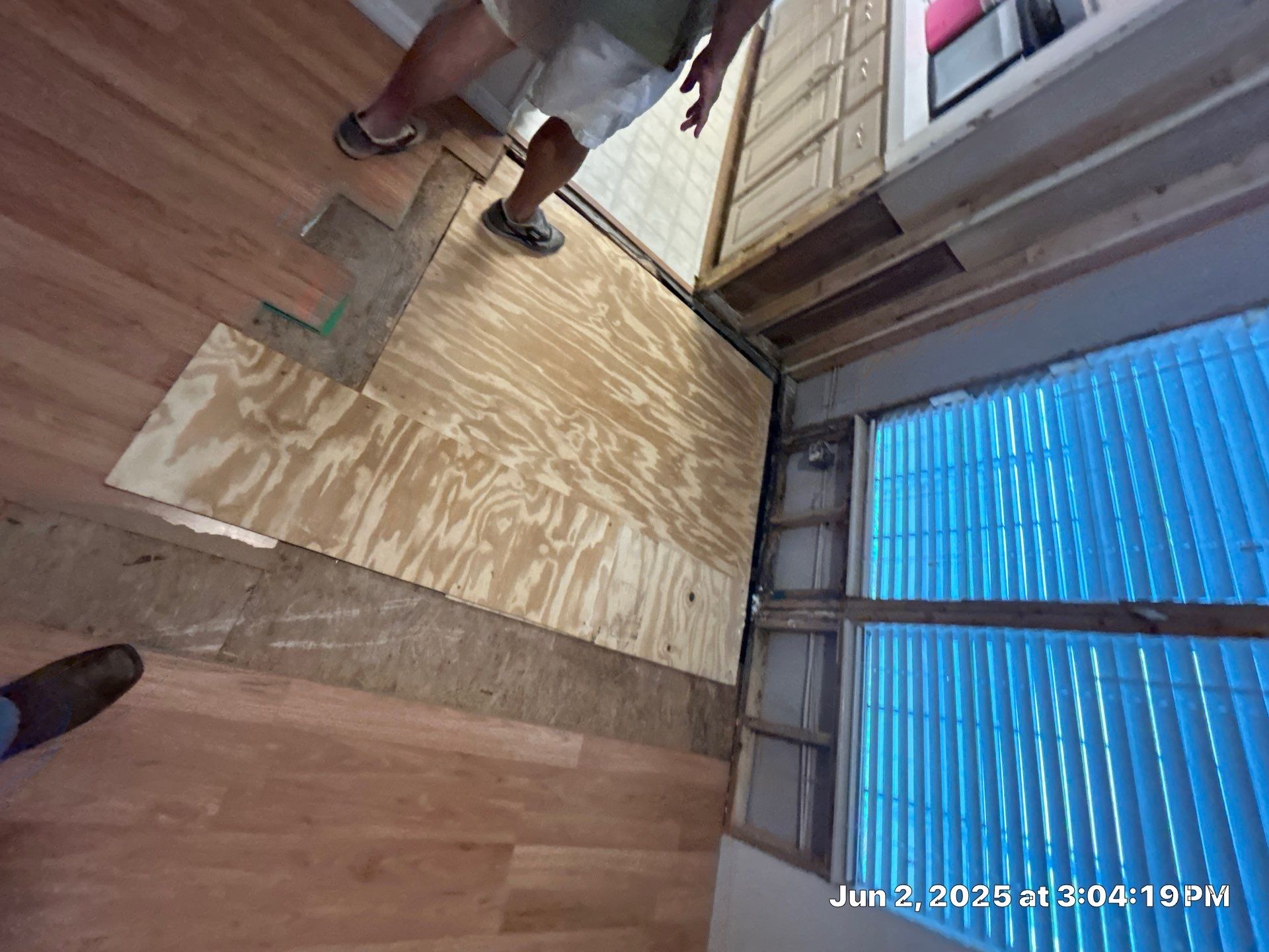 Mold Remediation Palmetto by Ampm Restoration Services 