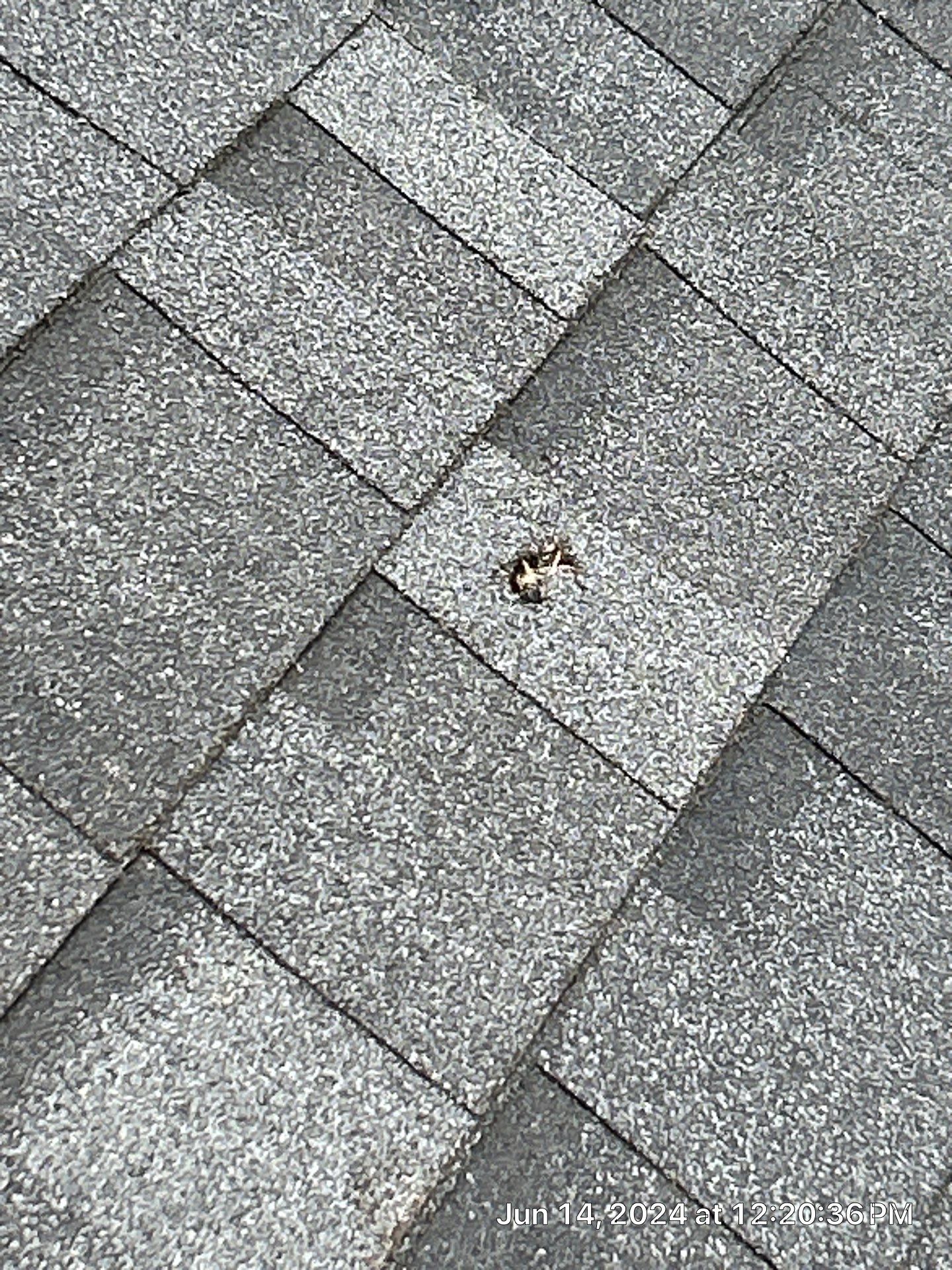 Residential Roofing Installation using Duration Series Shingles - Onyx Black by RoofX 