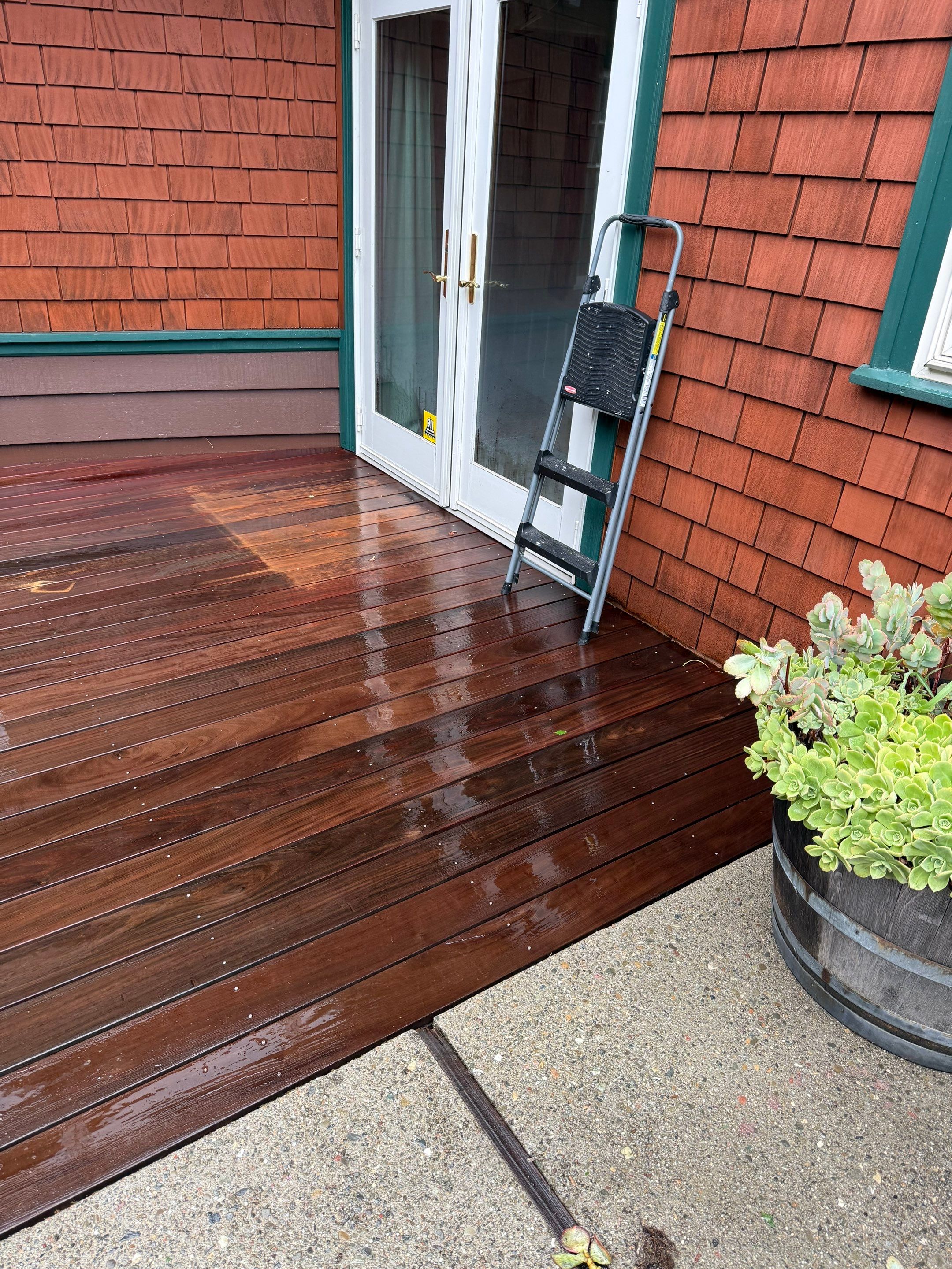 Full back garden refresh by SpotFree Window Cleaning