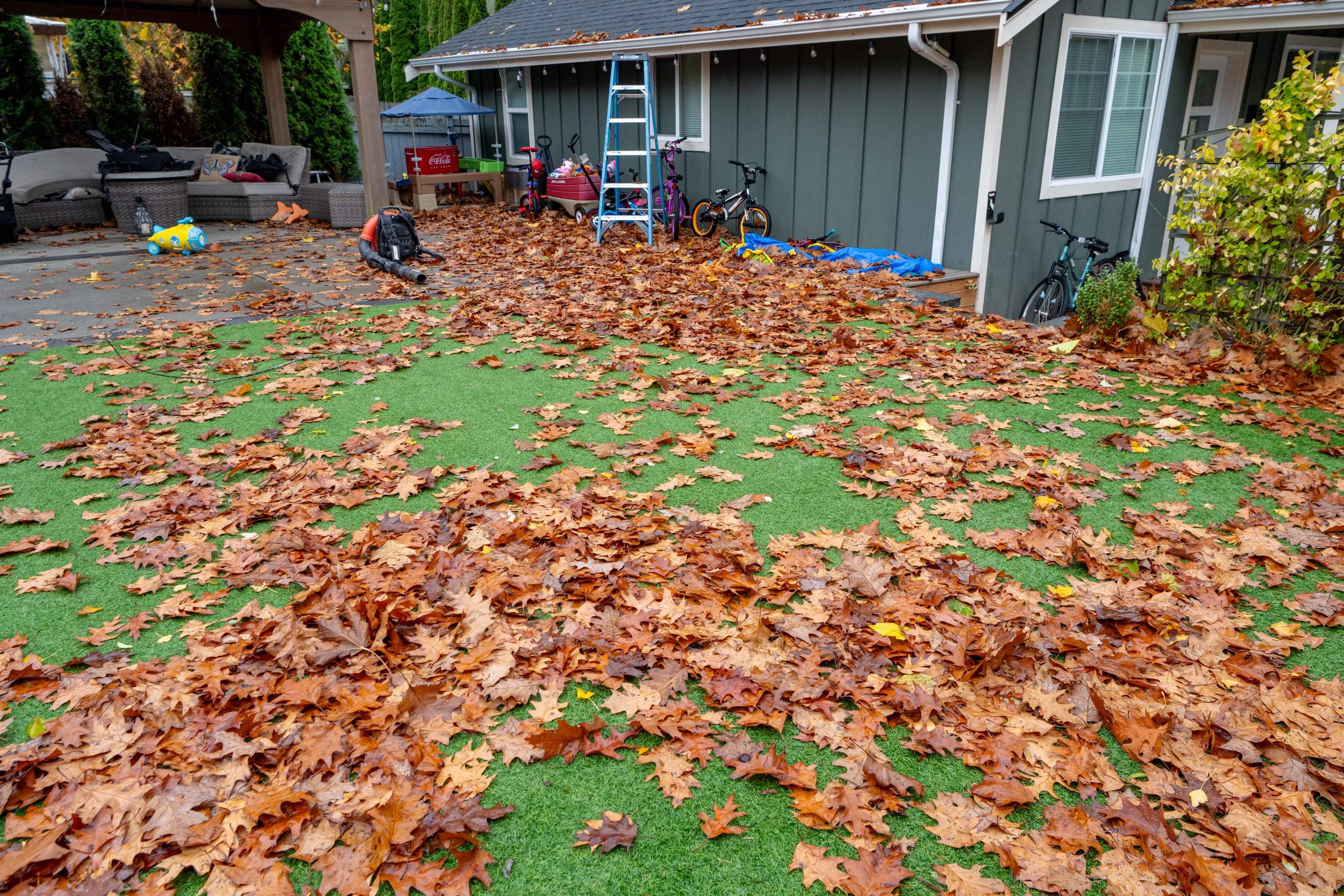 Fall and Spring Cleaning by Jireh Asphalt & Concrete Inc 