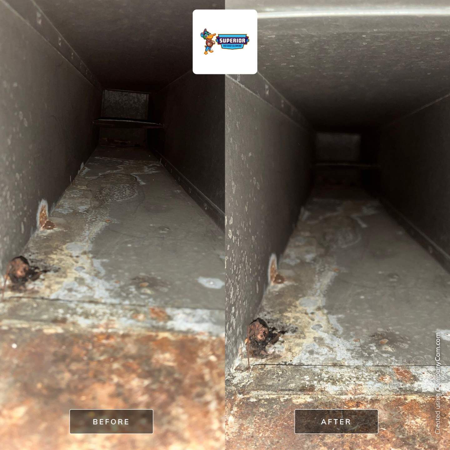 Air Duct Cleaning With a Vacuum Truck in Pittsburgh, PA by Superior Air Duct Cleaning