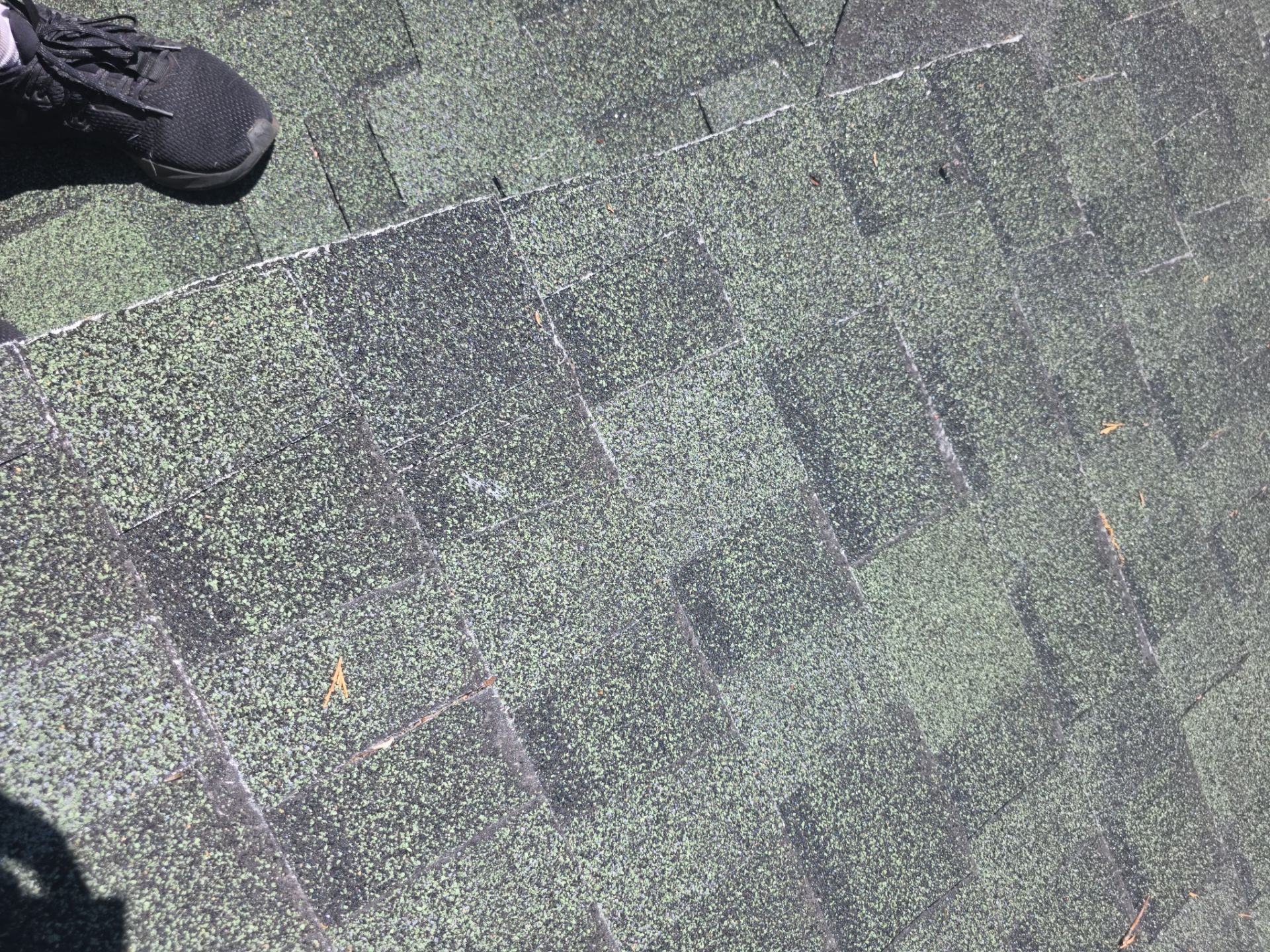 Roof Rejuvenation using Roof Maxx Treatment by Roof Maxx of Folsom