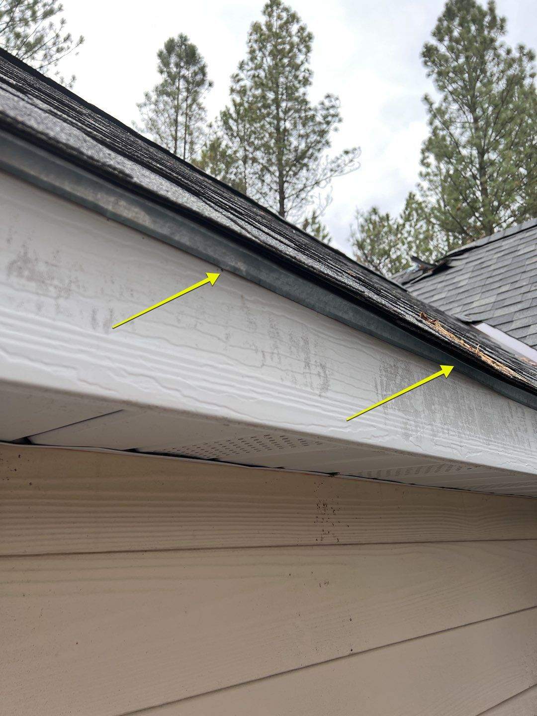 Green Snap Lock Standing Seam  by Montana Roofing Solutions