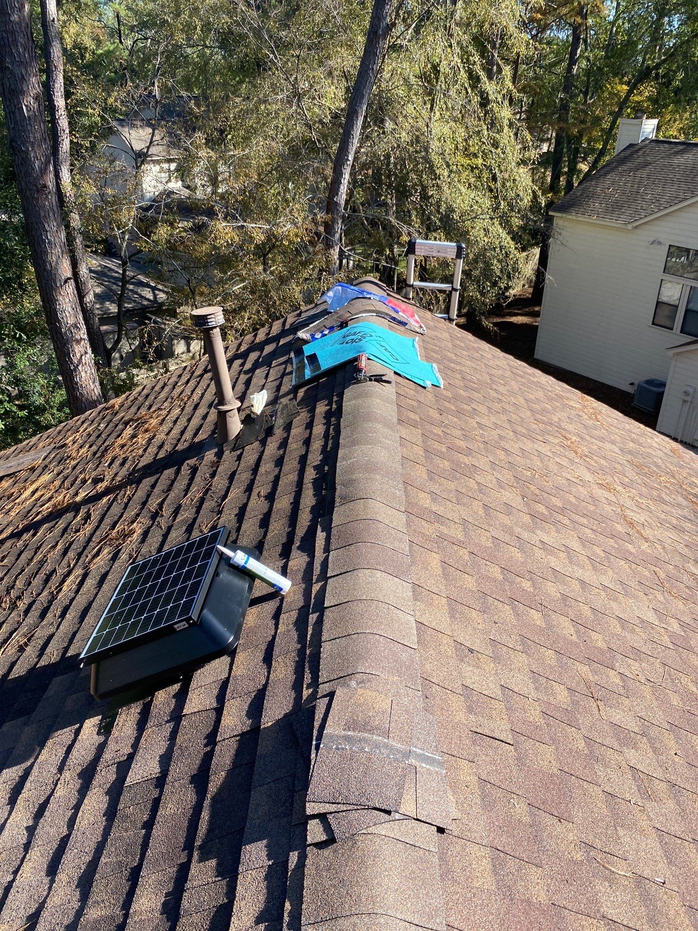 DAVID C by Boss Hogg Roofing