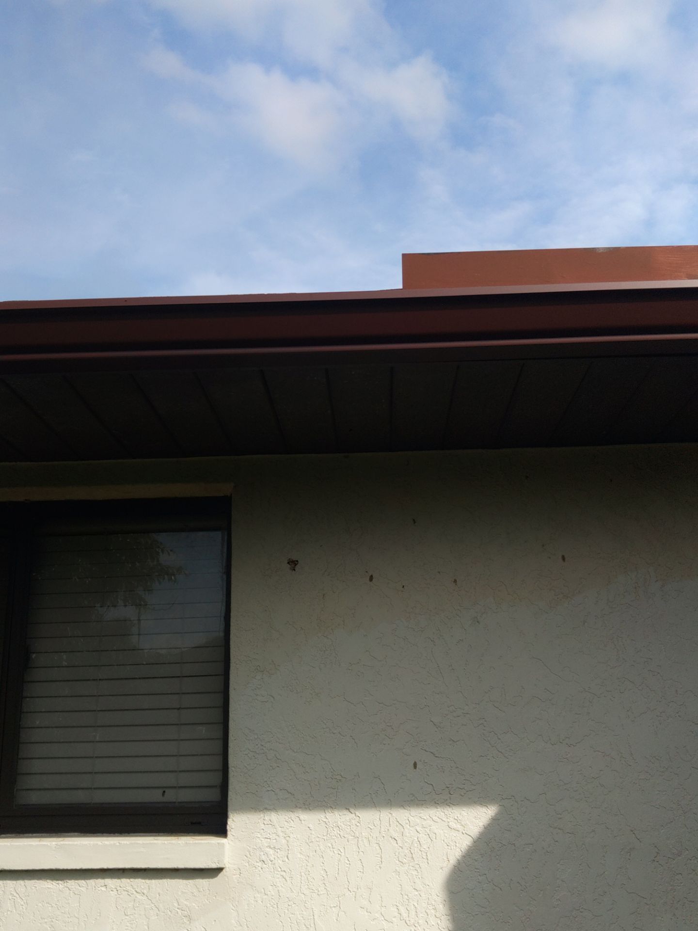 Brown Gutters in Cape Coral FL by Gutter Professors