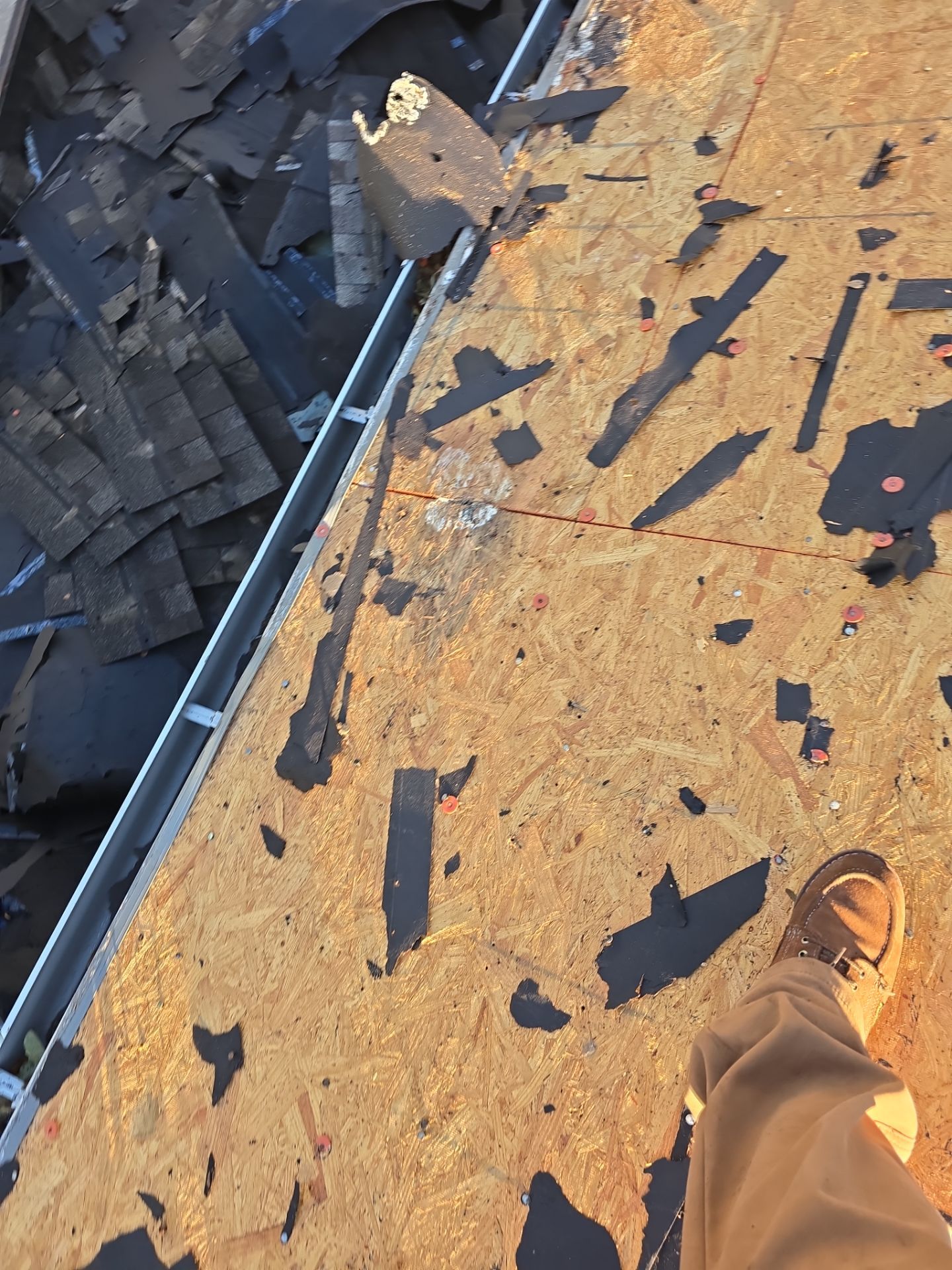 Roof Replacement Spring by Roof Repair Company