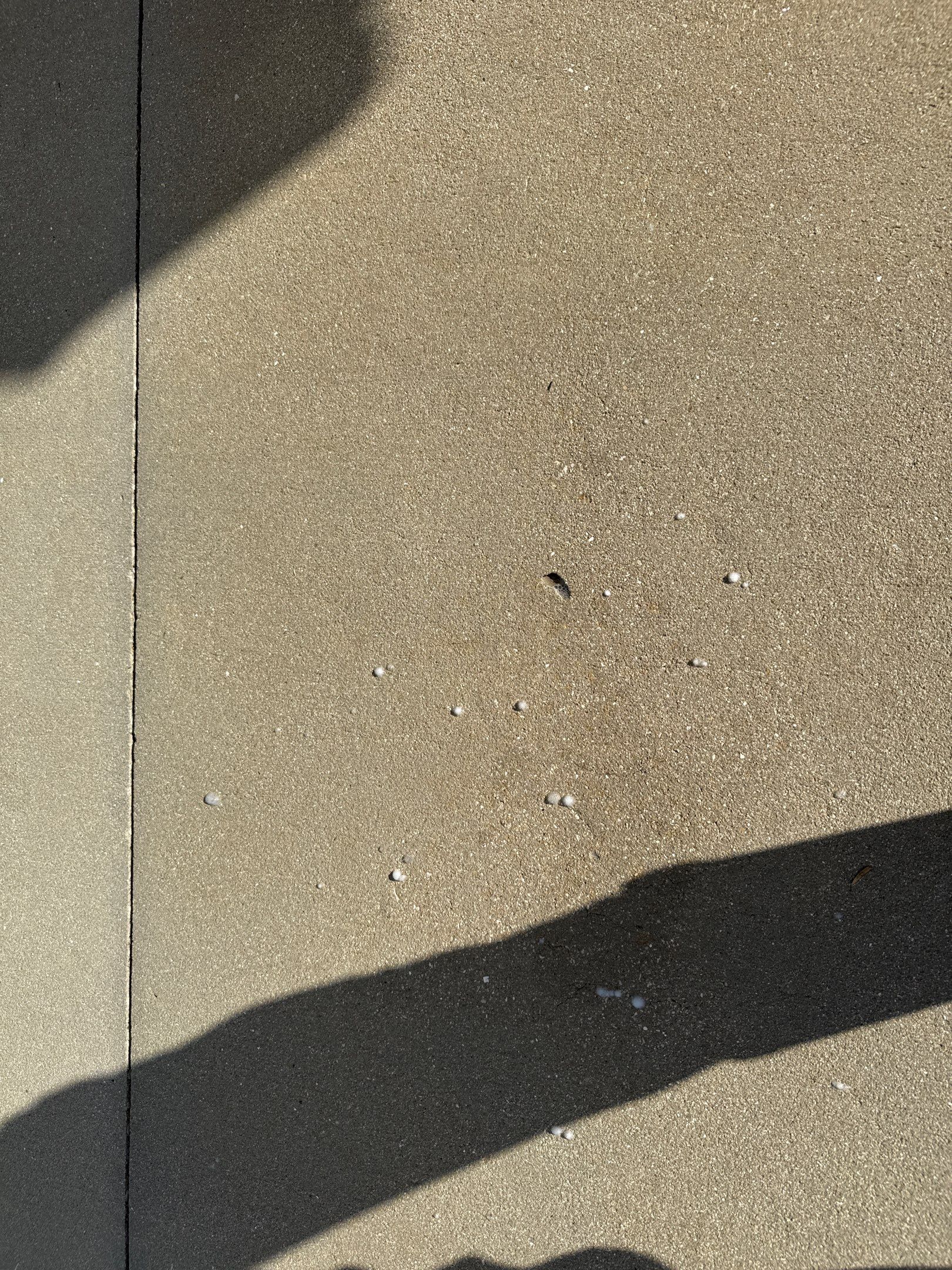 Oil Stain Removal & Concrete Cleaning – The Heights Community, Bradenton, FL by Sunshine AquaWash