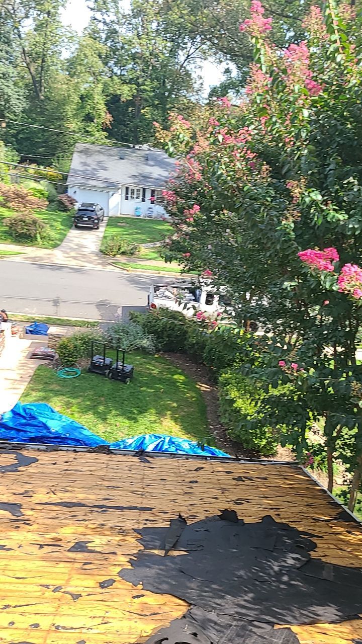 Arlington: CertainTeed Landmark Pro Designer Shingles in Max Def Heather Blend by RM Banning, Inc.