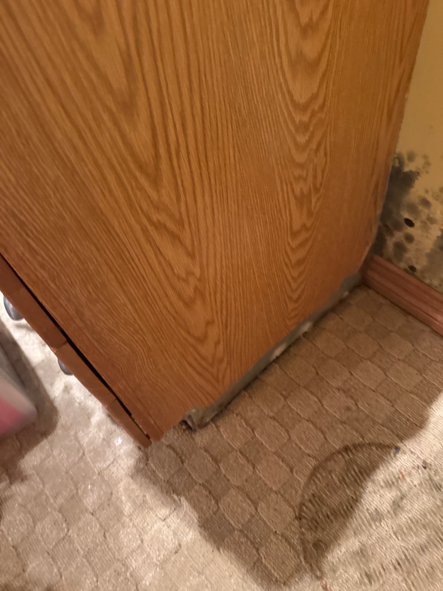 Project in Novi by EzDry Water Mitigation & Property Restoration