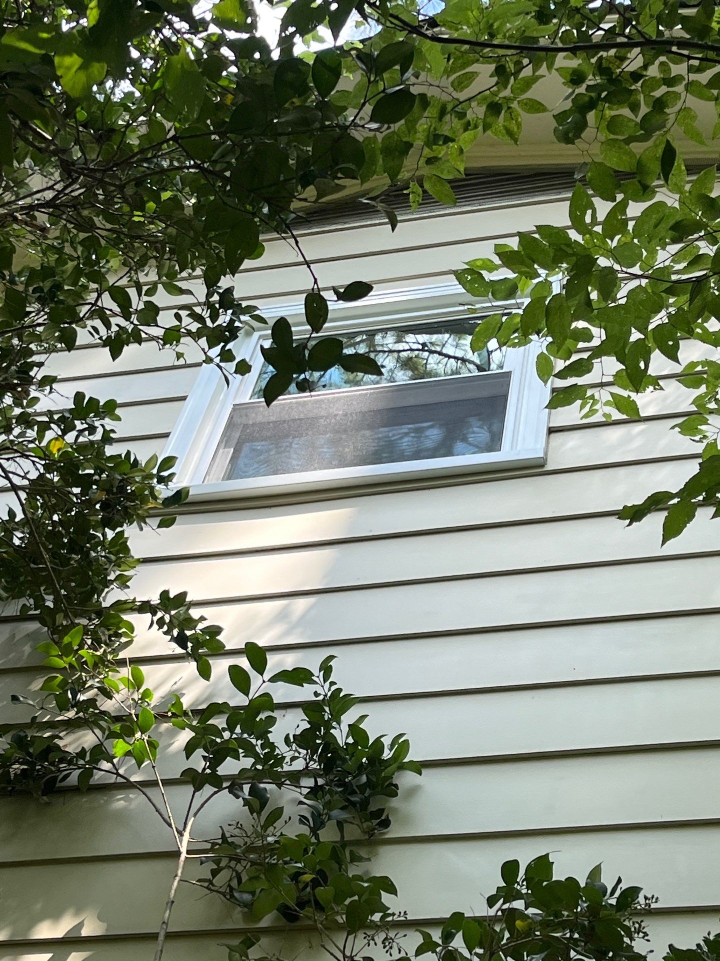 Waldheim Project in Mountain Brook by The Window Source