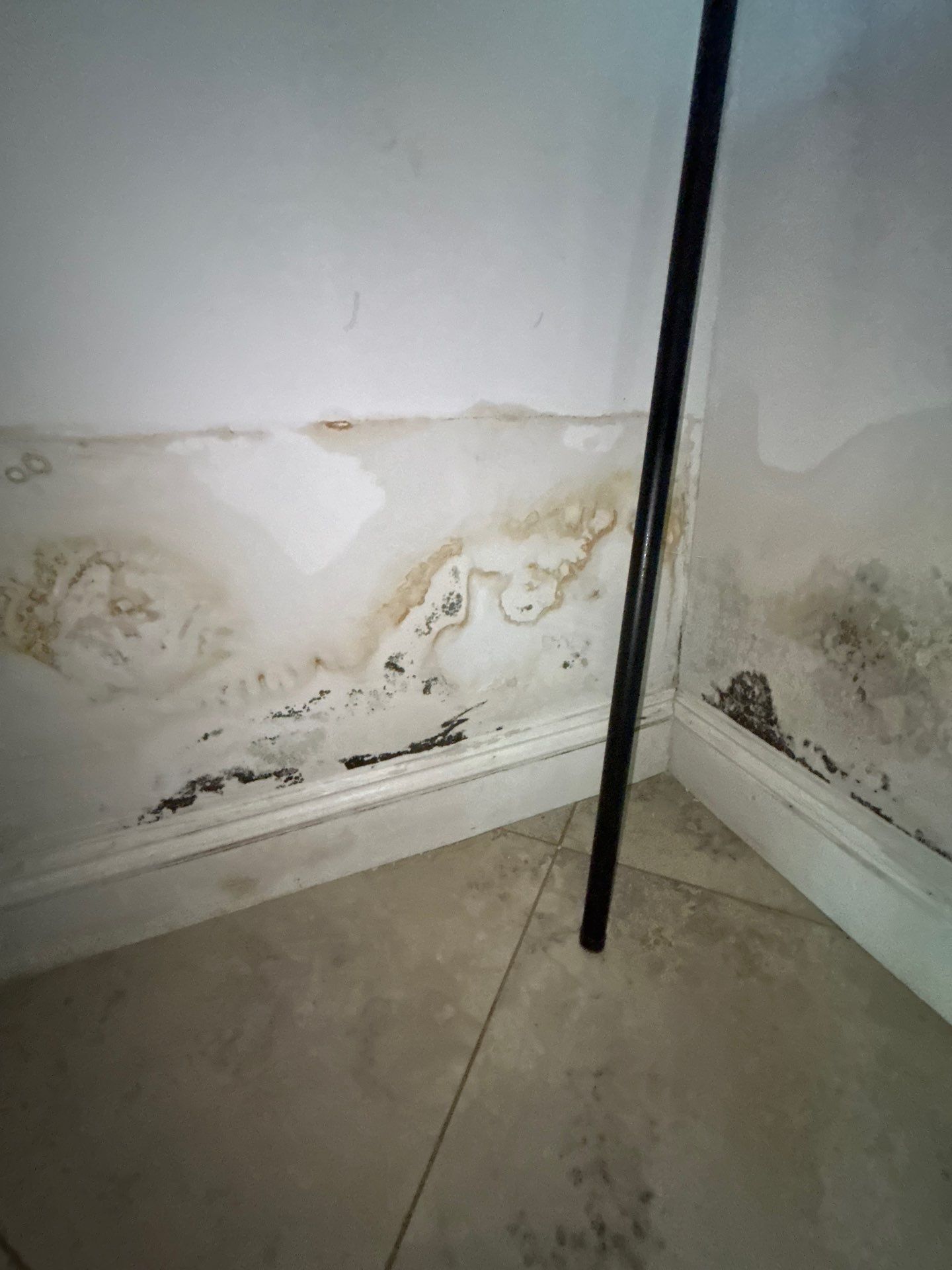 Storm Water Damage Sarasota by Ampm Restoration Services