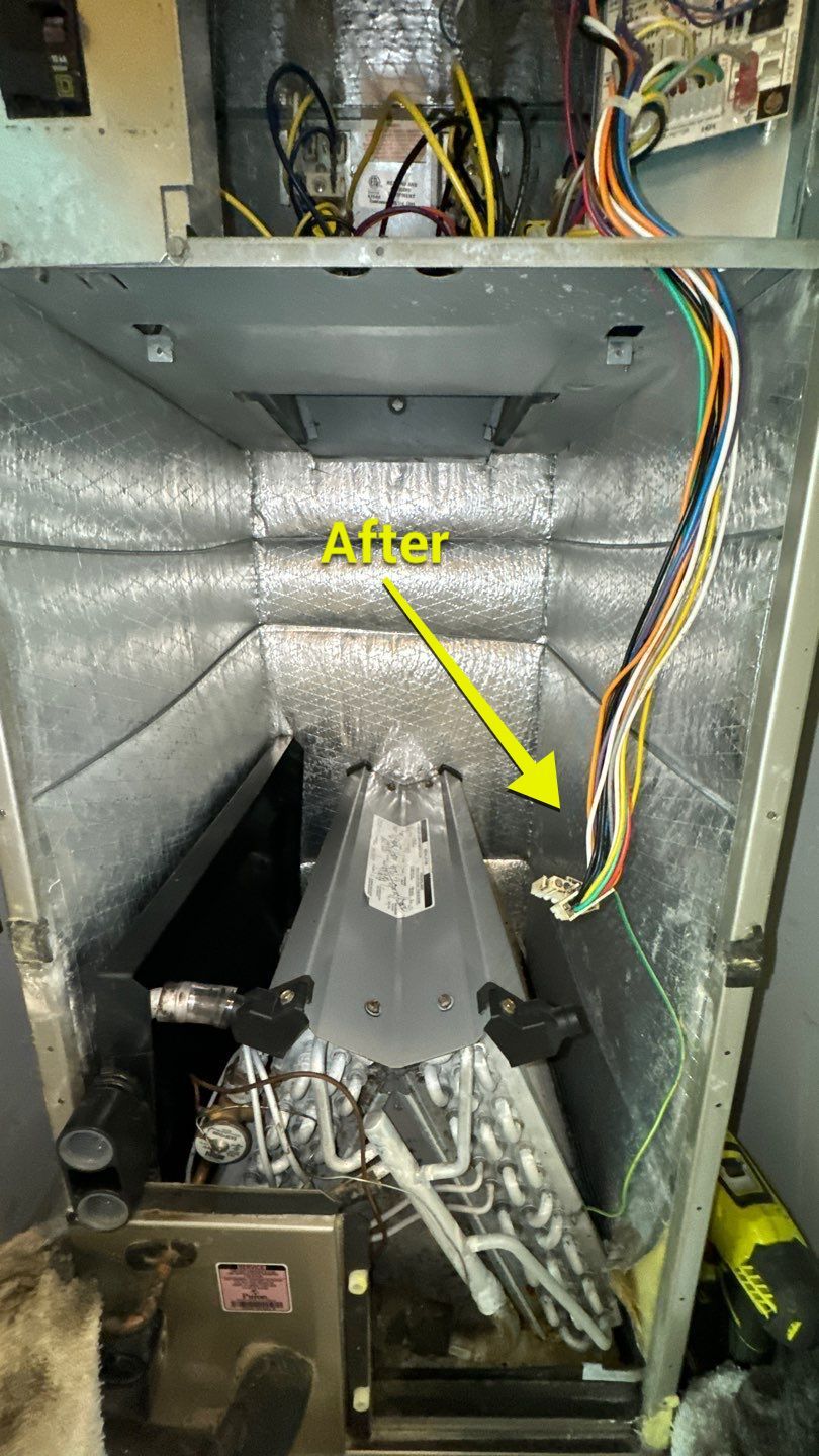Air Duct Cleaning in Tavares by Hygienic Air, Inc