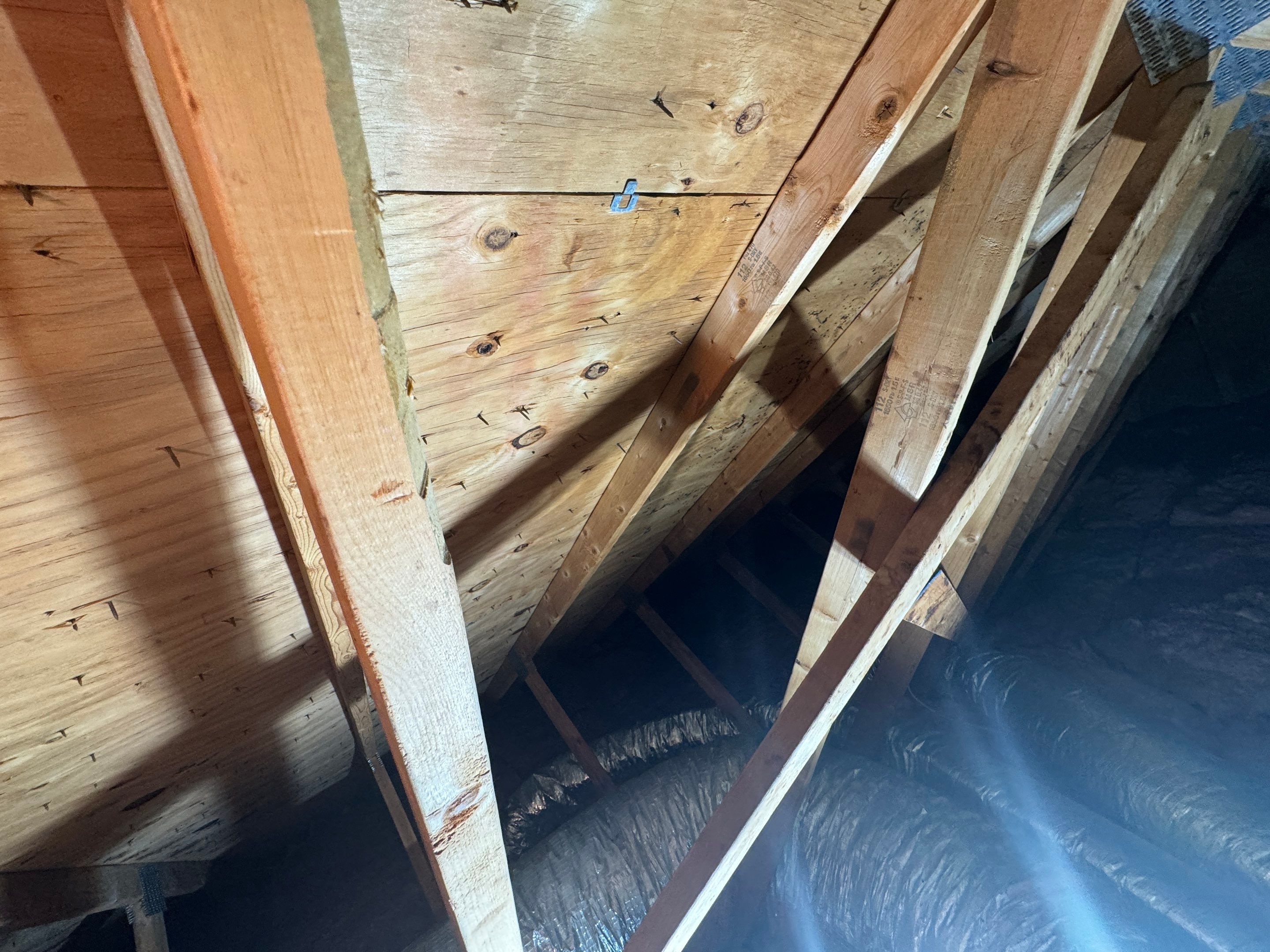 Attic Mold Remediation by Home Guarantee, LLC